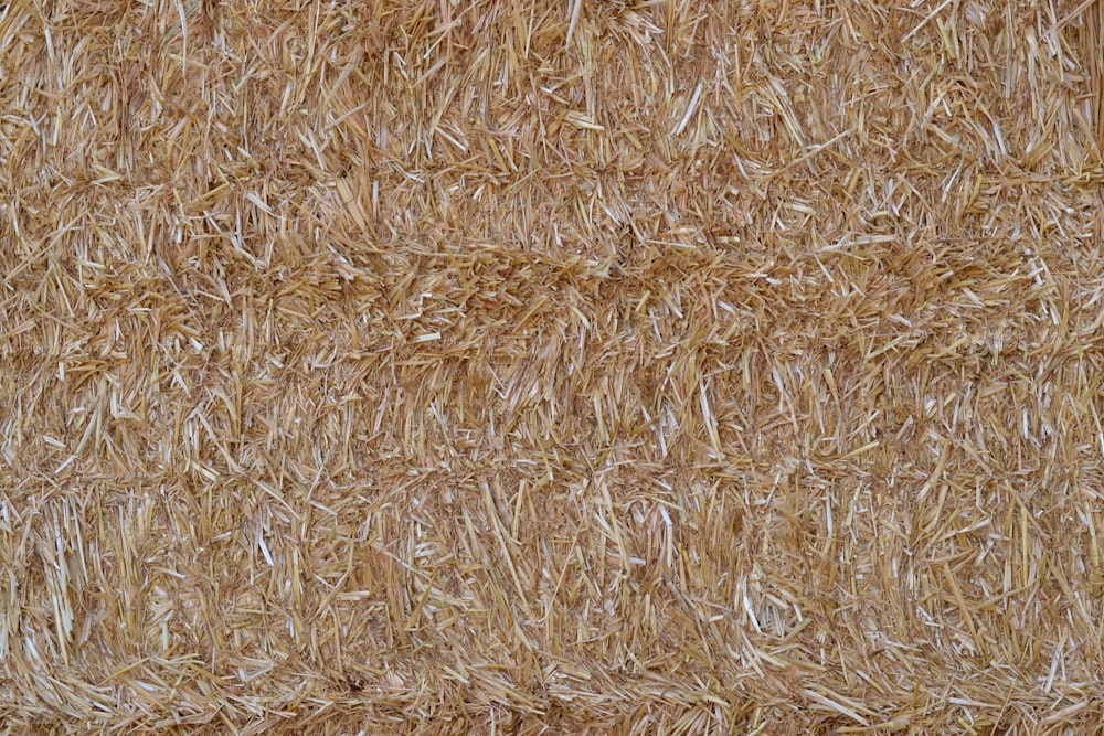 a close up of a pile of hay