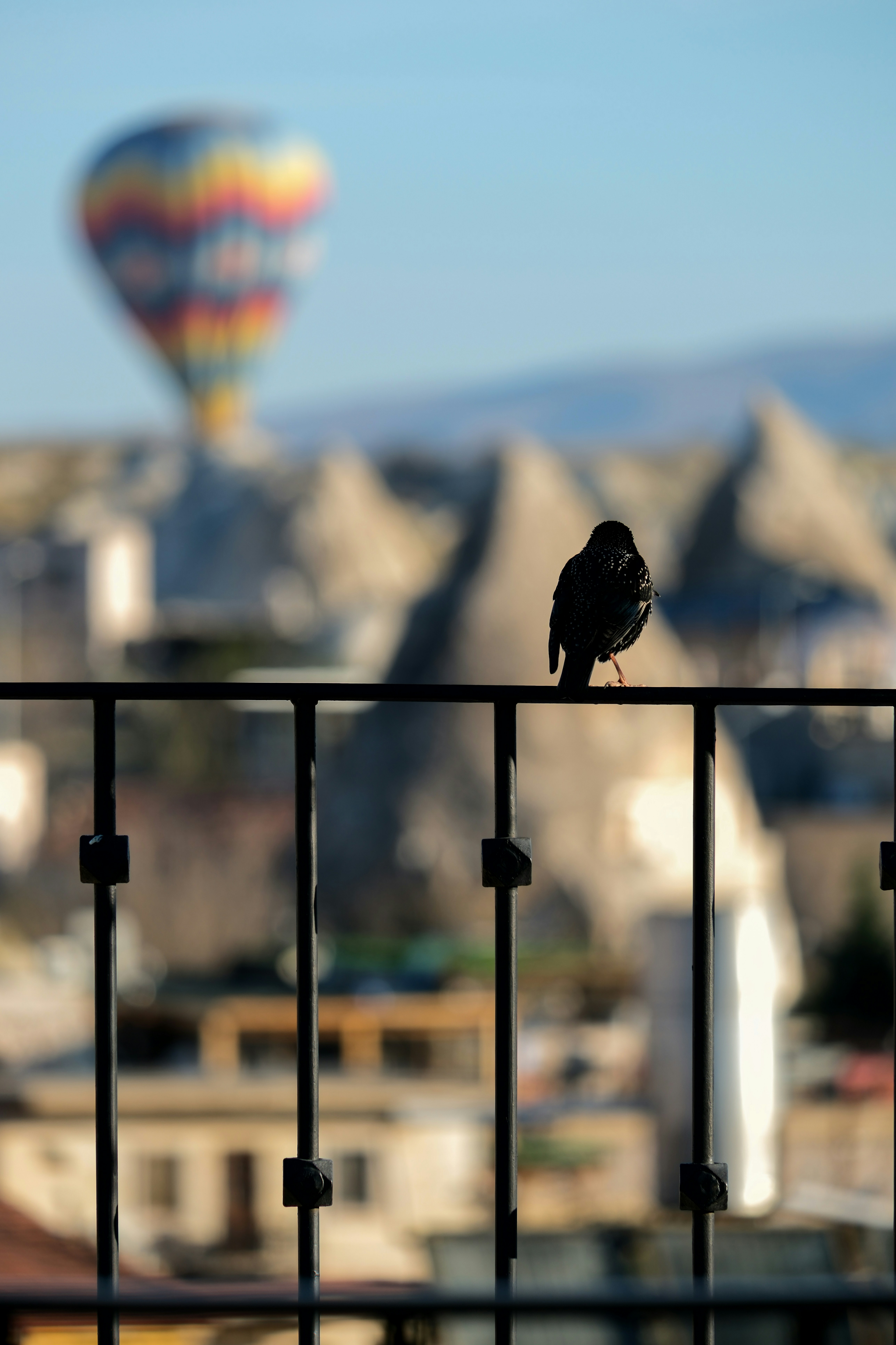 a bird sitting on top of a metal fence - a-bird-sitting-on-top-of-a-metal-fence-atHzh0aECBo