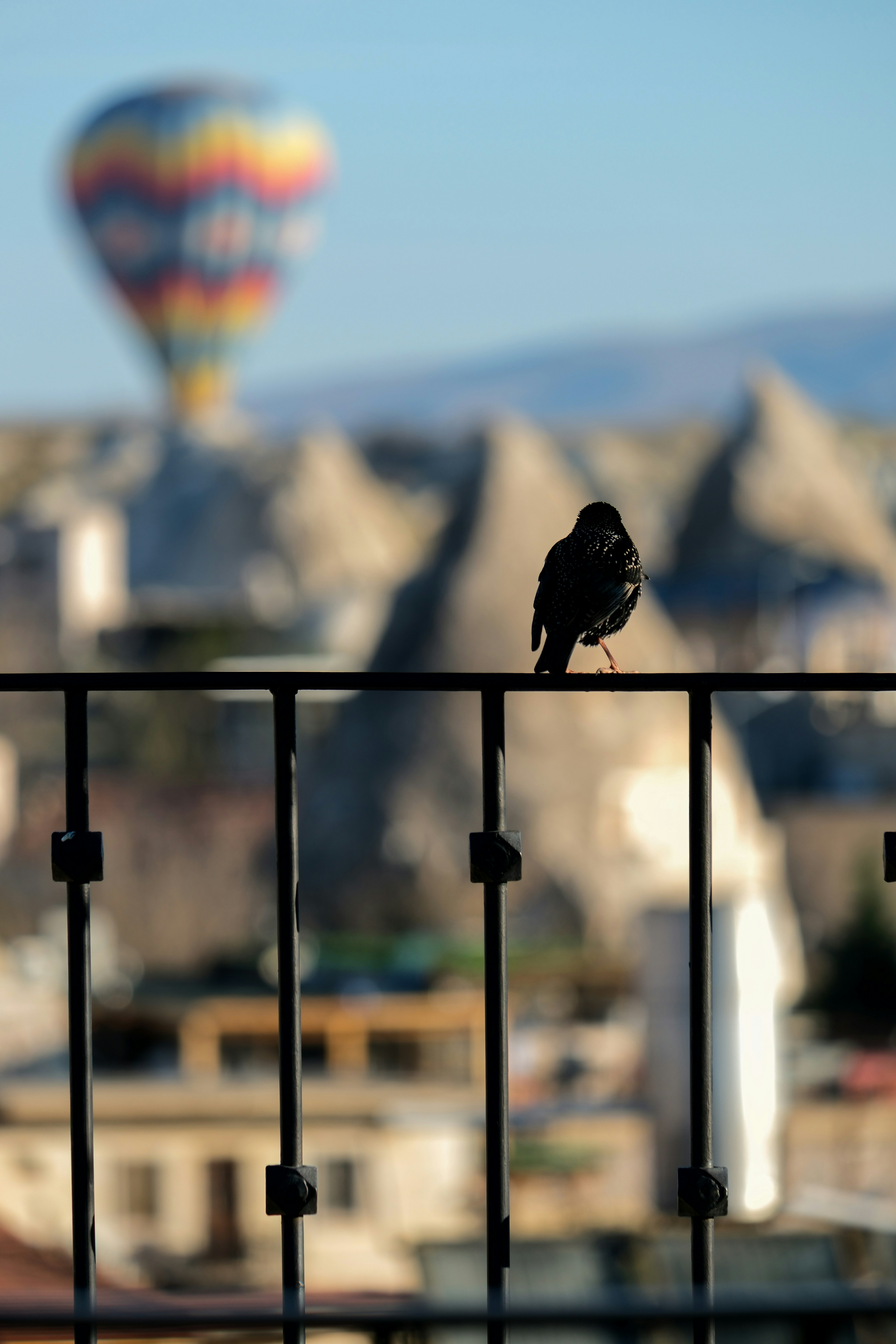 a black bird sitting on a fence with a hot air balloon in the background - a-black-bird-sitting-on-a-fence-with-a-hot-air-balloon-in-the-background-LeVy8i743OA
