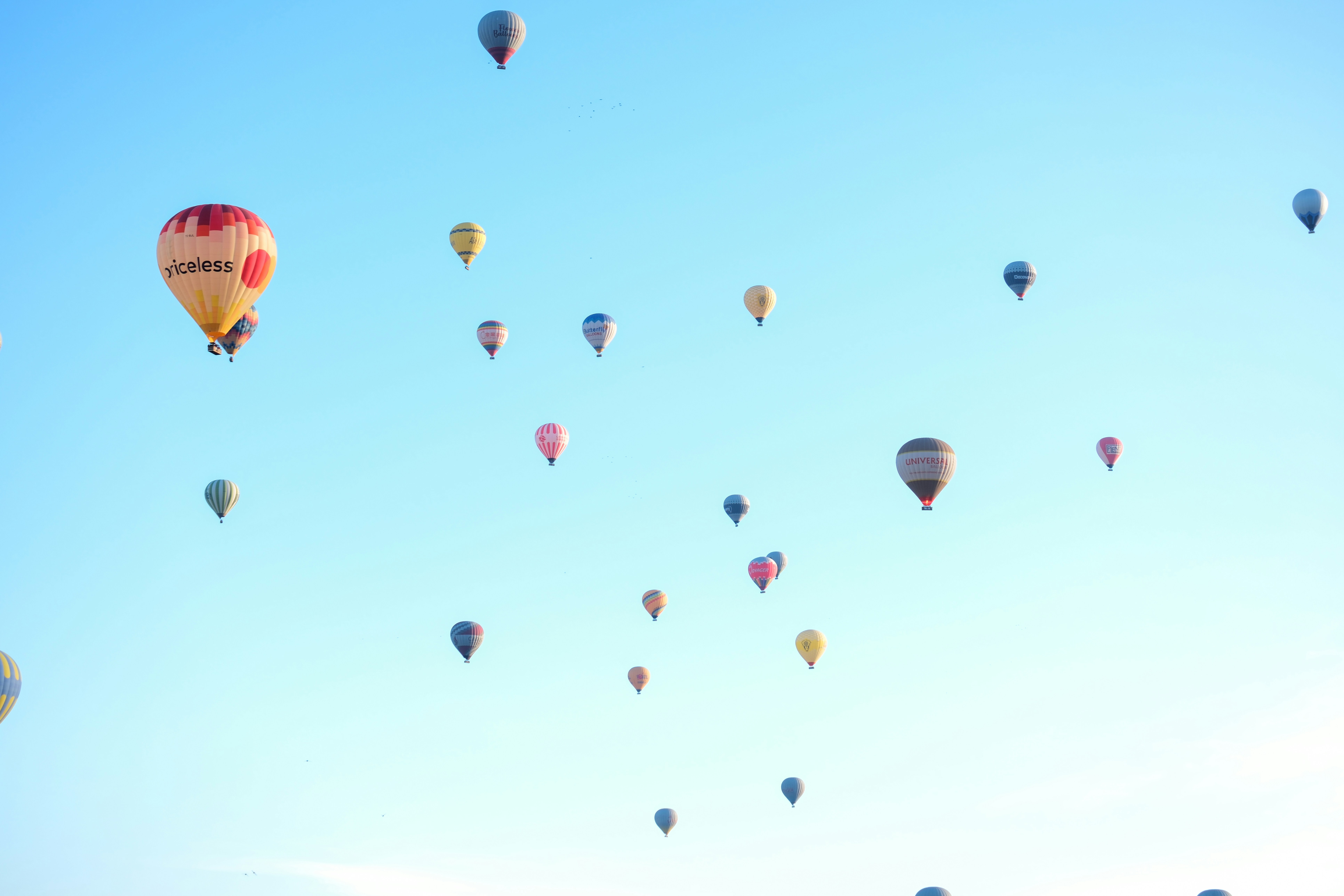 a bunch of hot air balloons flying in the sky - a-bunch-of-hot-air-balloons-flying-in-the-sky-M63WHEWQPAM