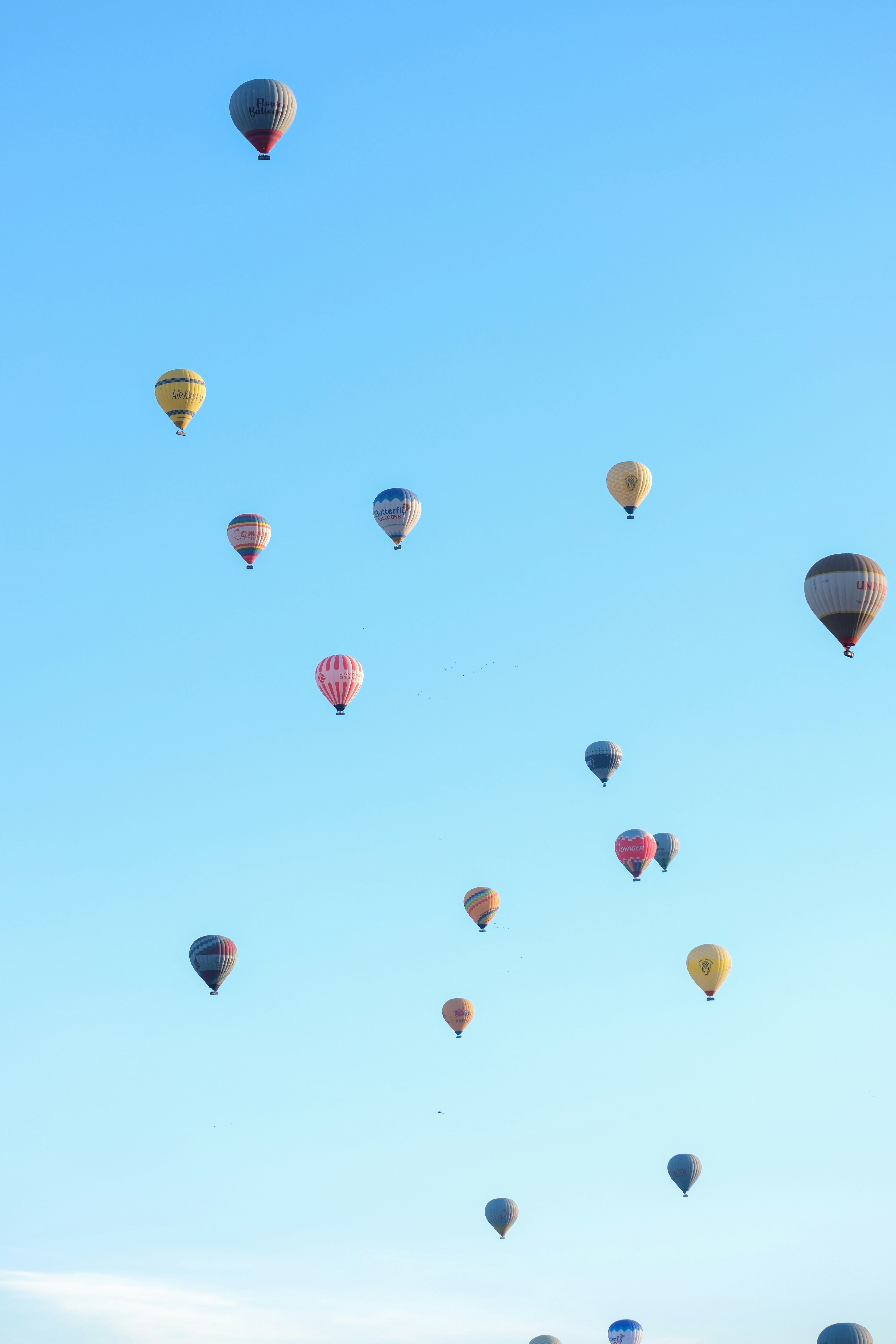 a group of hot air balloons flying in the sky - a-group-of-hot-air-balloons-flying-in-the-sky-Tb2Mze8TDaI