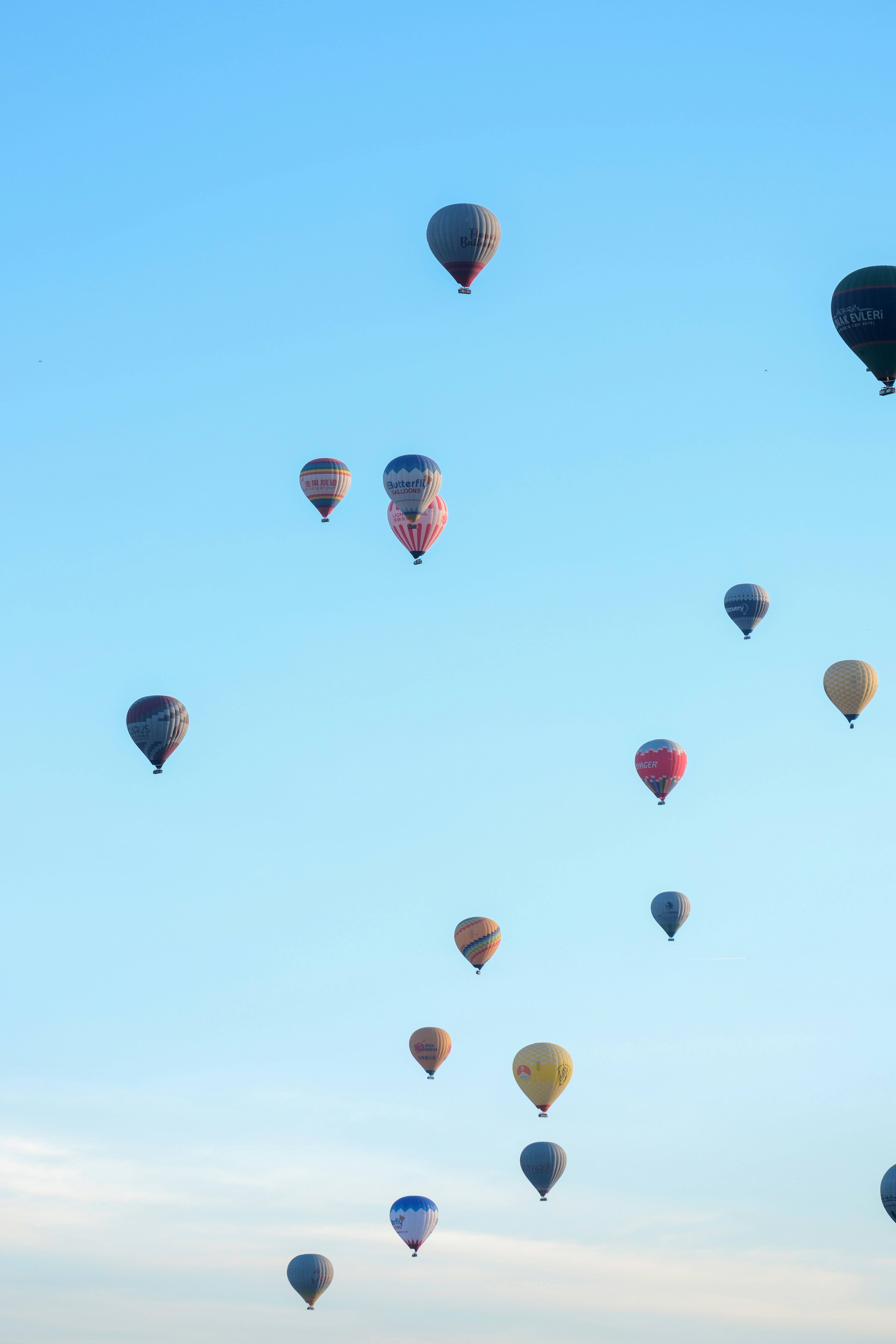 a bunch of hot air balloons flying in the sky - a-bunch-of-hot-air-balloons-flying-in-the-sky-2vreiAGZeaM
