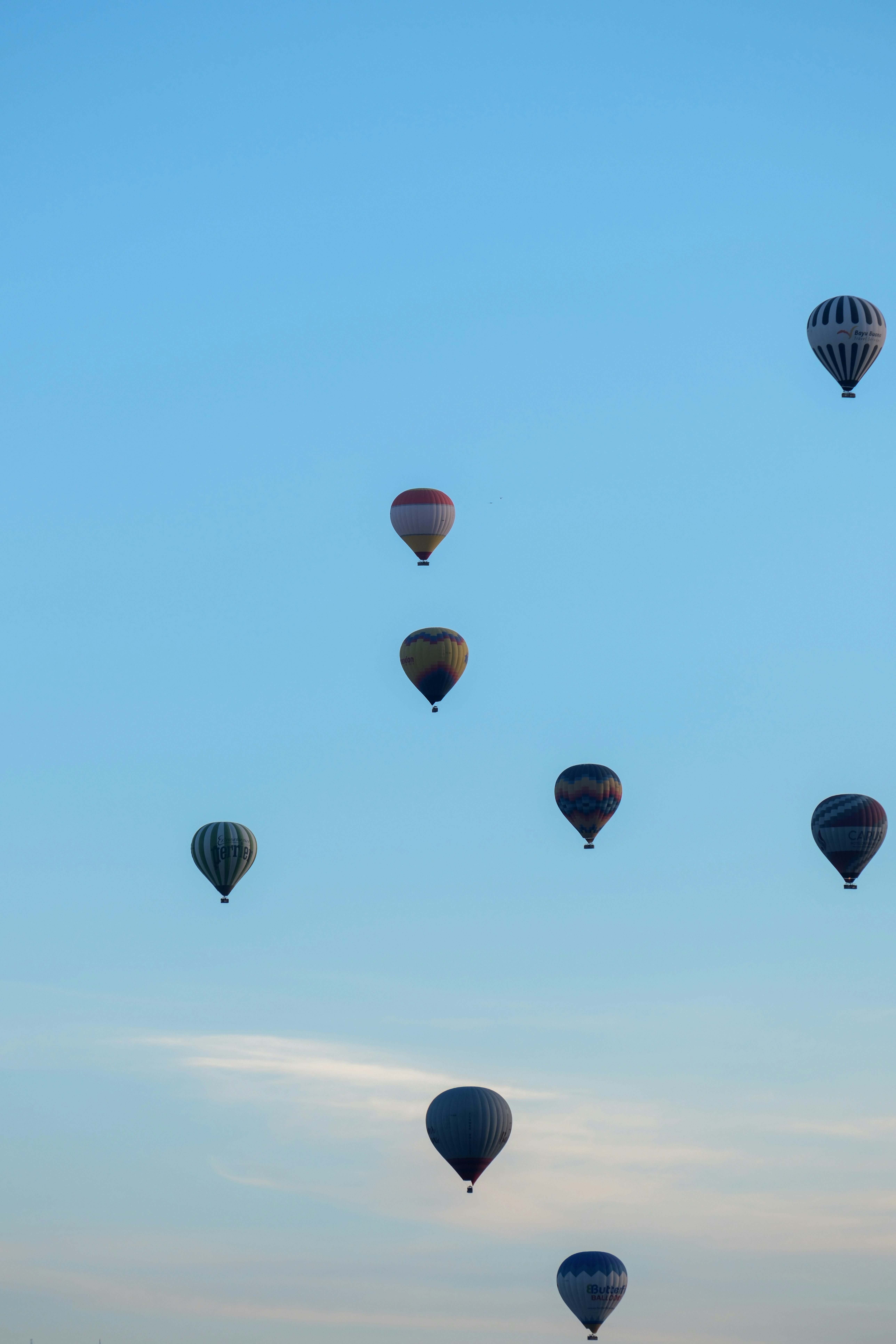 a group of hot air balloons flying in the sky - a-group-of-hot-air-balloons-flying-in-the-sky-WFN-Mn515Jg