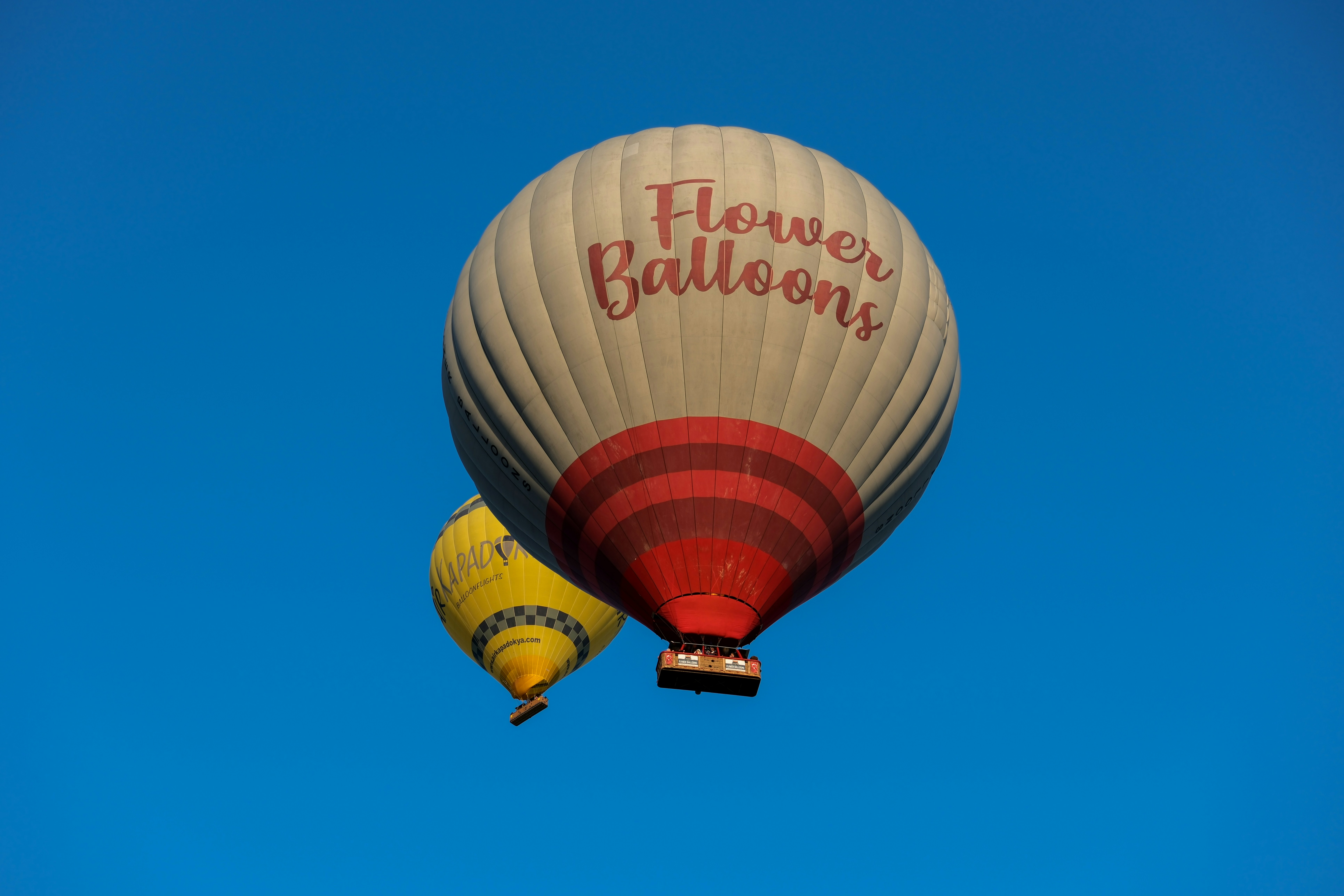 a hot air balloon with the words flower blossom written on it - a-hot-air-balloon-with-the-words-flower-blossom-written-on-it-P1tMu5h9sd4