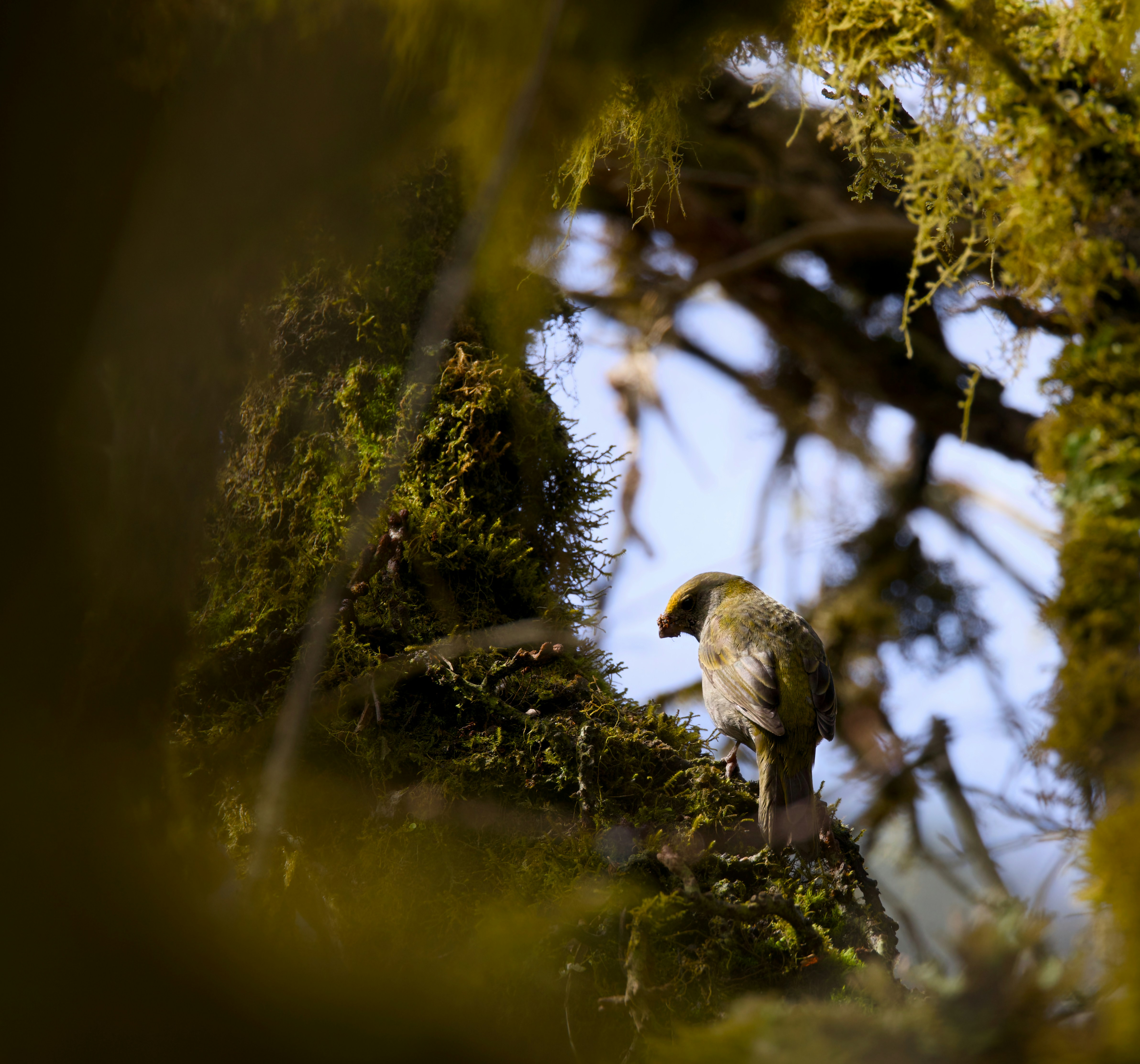 Photo by winefinderac