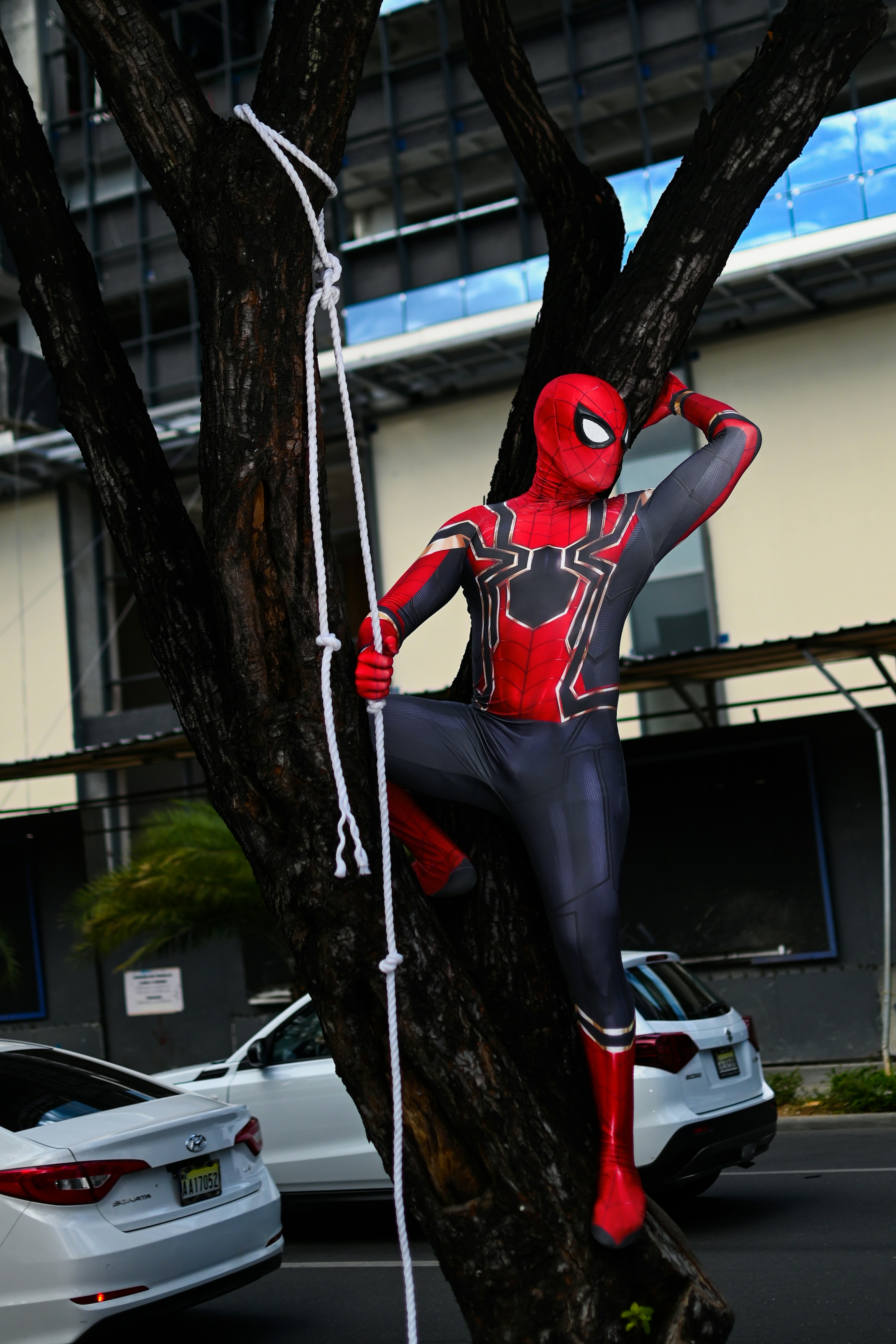 Seorang pria berpakaian laba-laba memanjat pohon