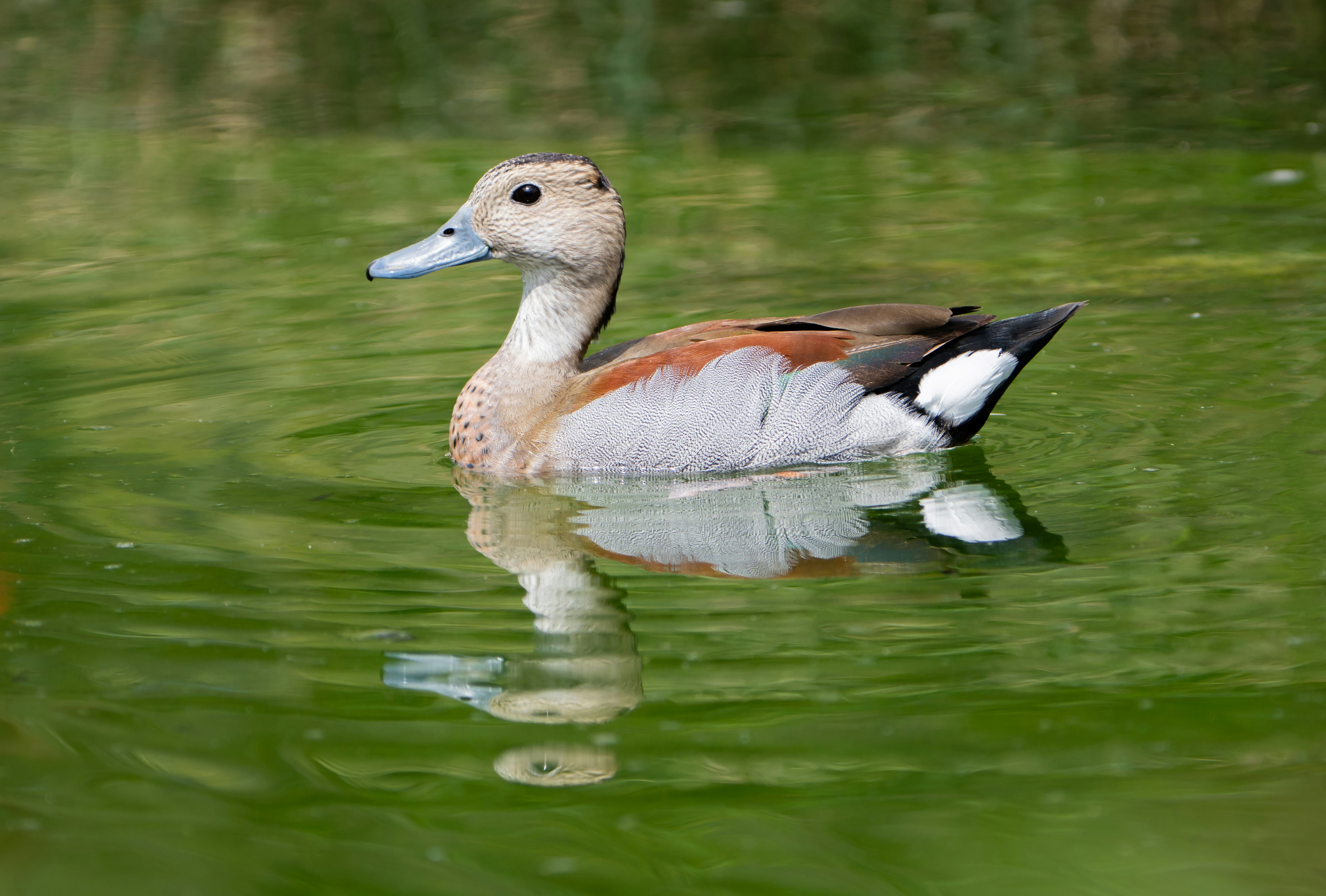 Photo by mhphotography13