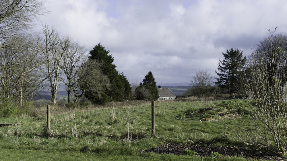 a grassy field with trees and a house in the distance