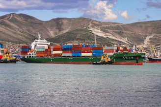 a large cargo ship in the water with mountains in the background