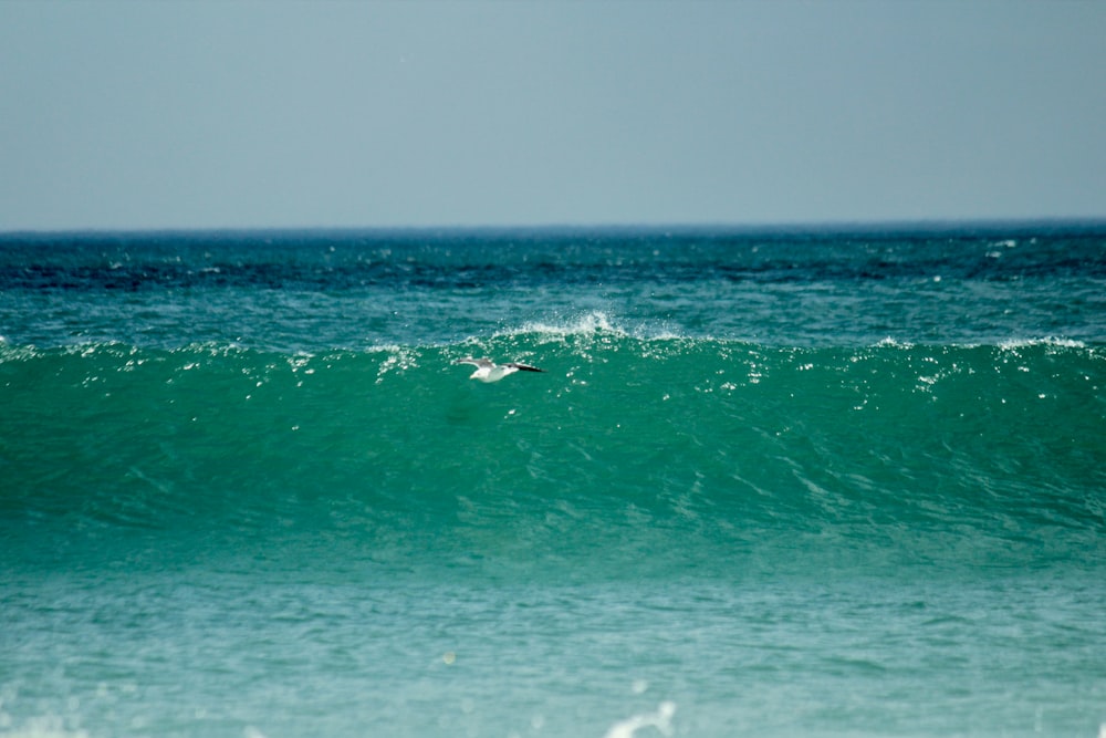 a person riding a surfboard on a wave in the ocean