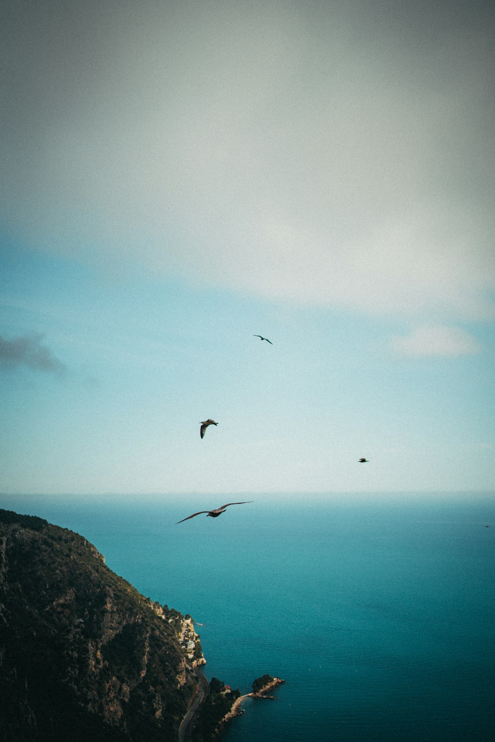 a group of birds flying over a large body of water