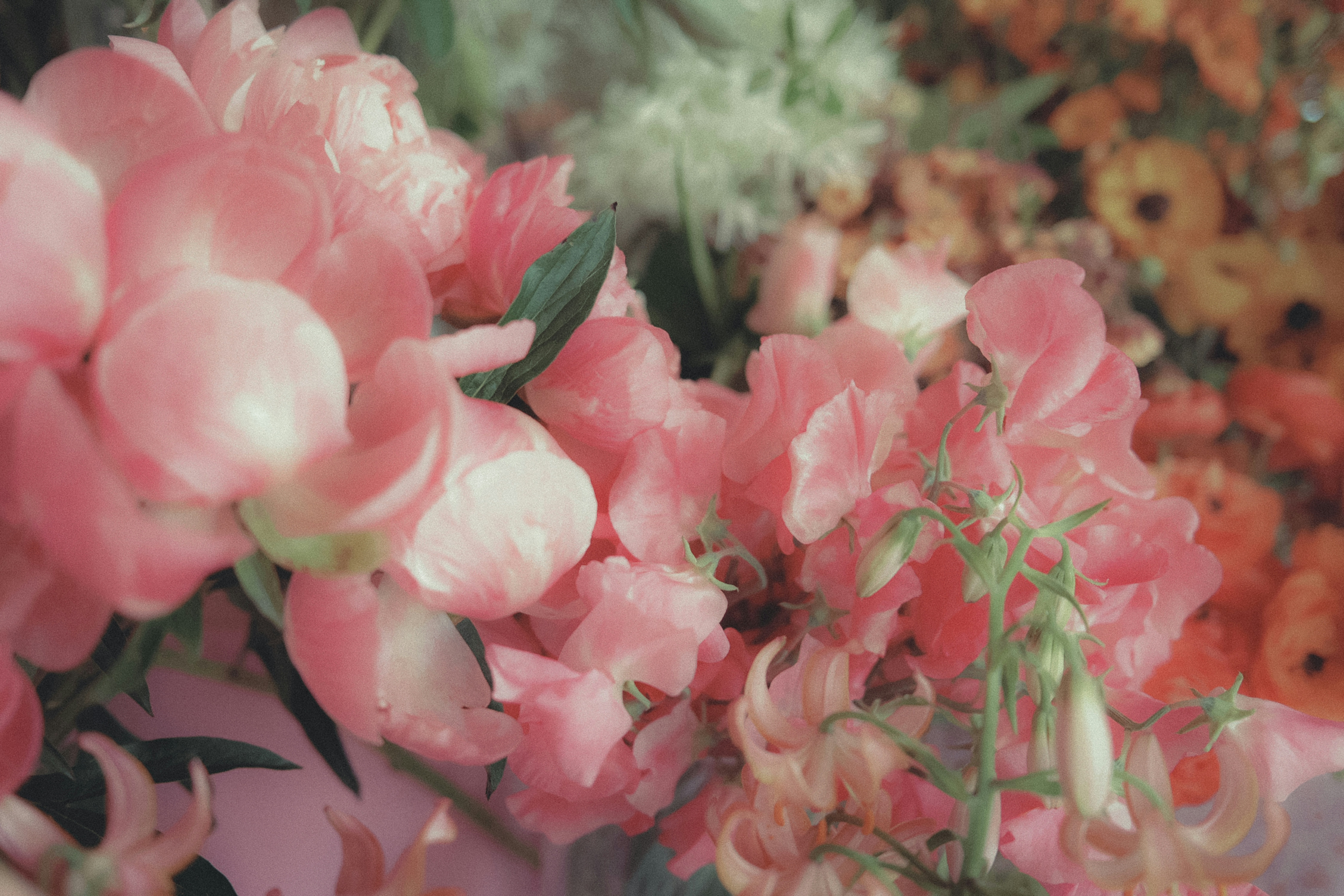 Photo by tatiananoir