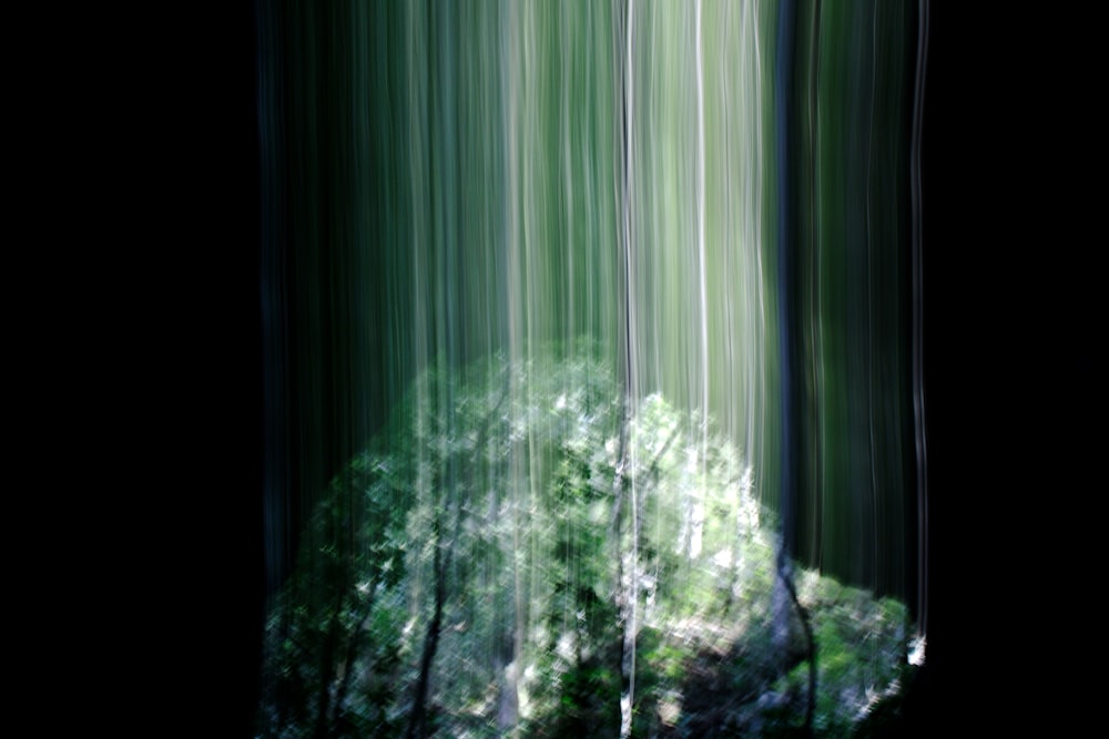 a blurry photo of a forest with trees