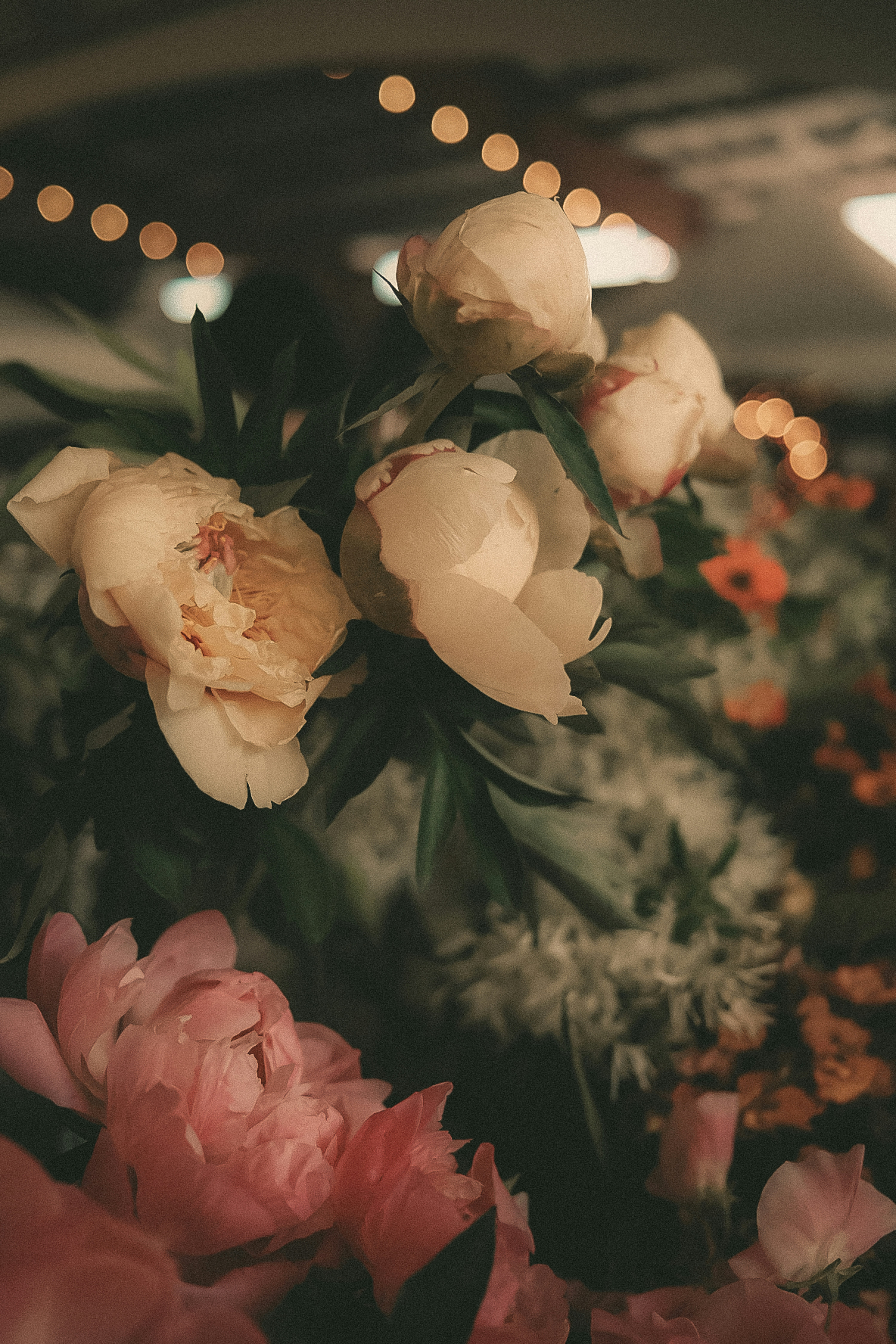 Photo by tatiananoir