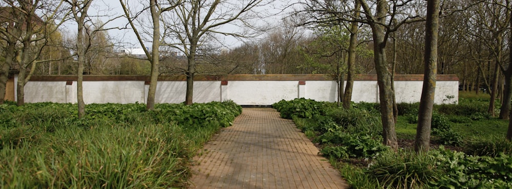 a brick path in a park lined with trees