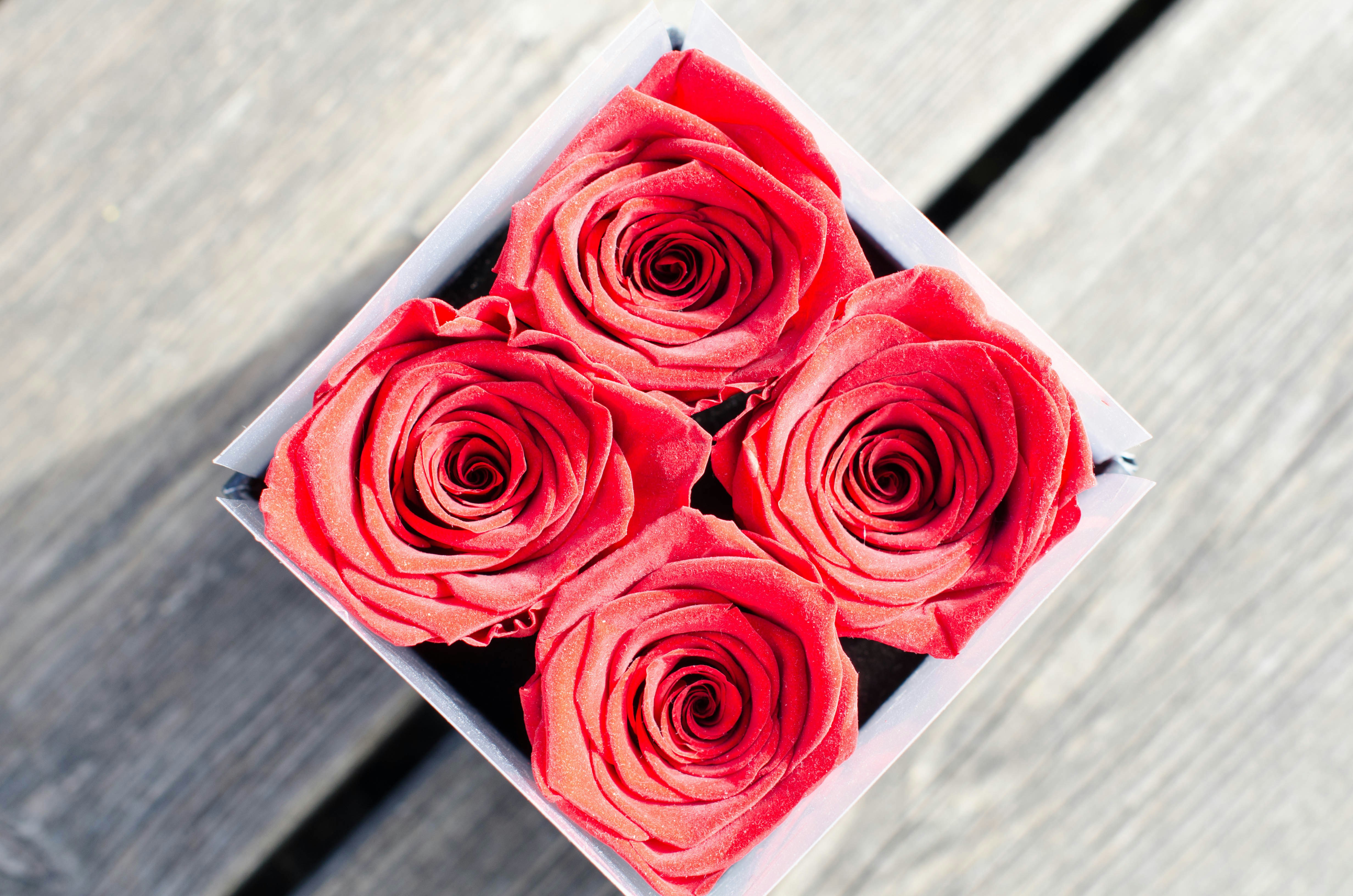 Photo by nika_benedictova