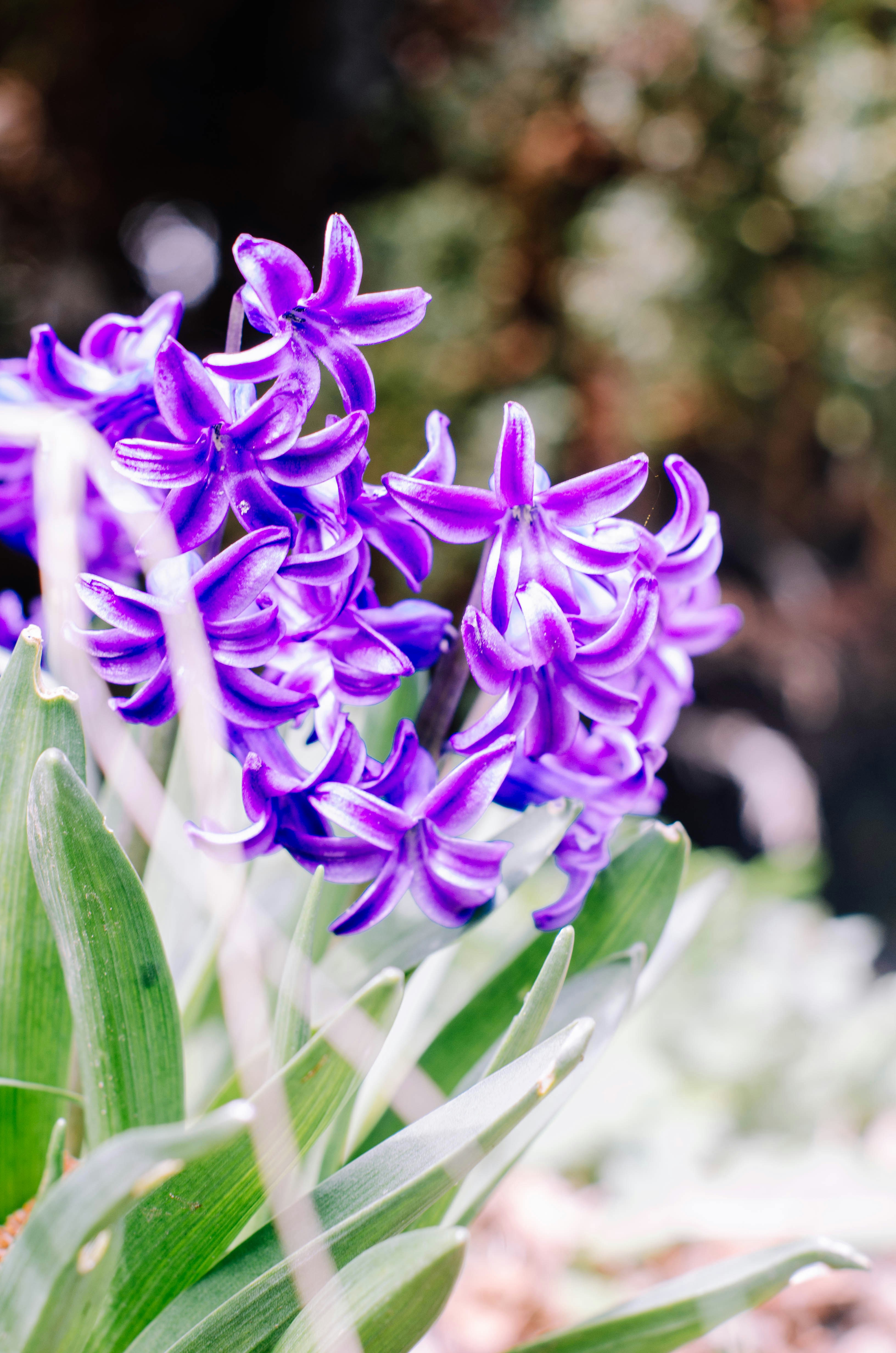 Photo by nika_benedictova