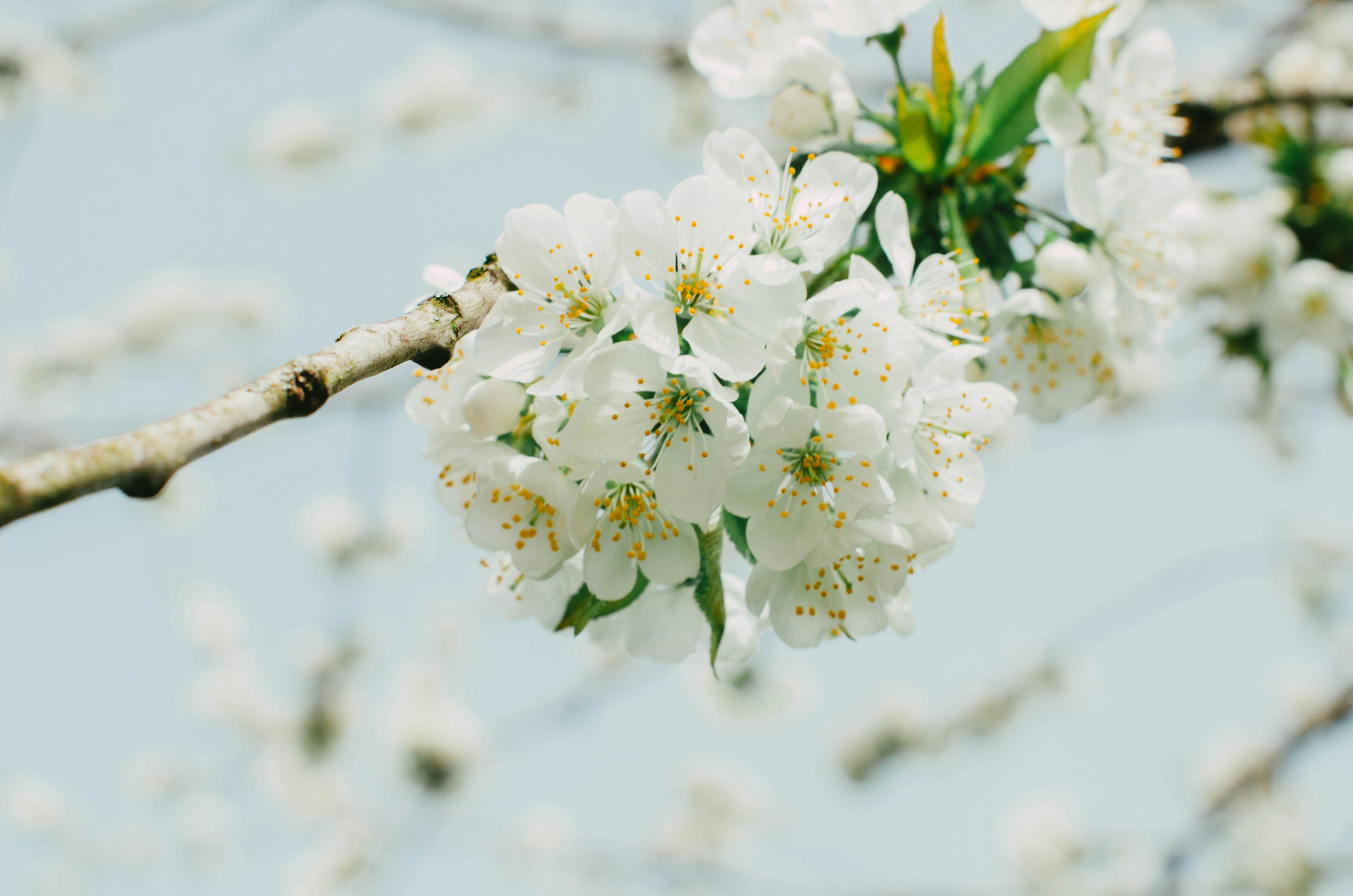 Photo by nika_benedictova