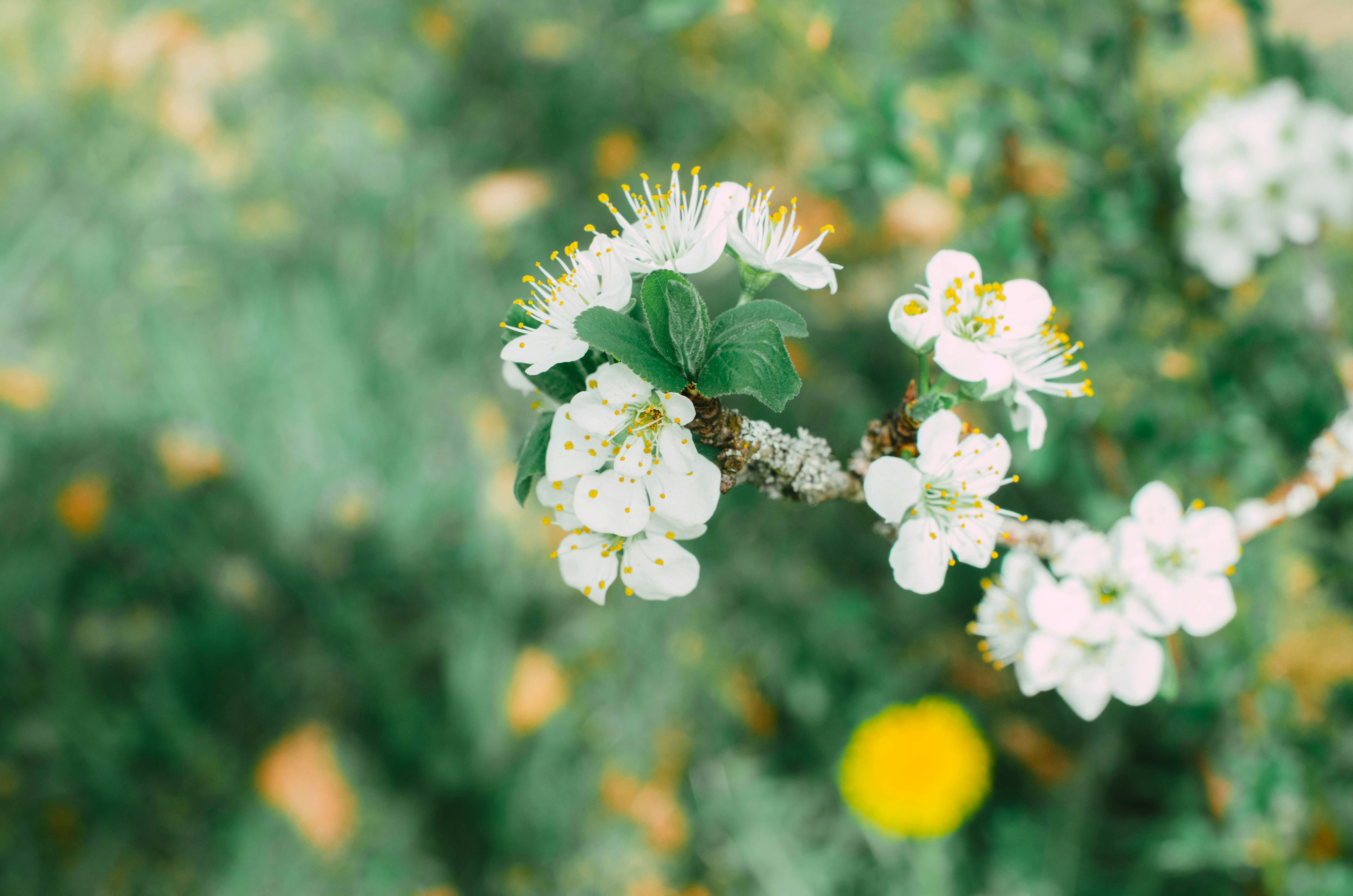 Photo by nika_benedictova