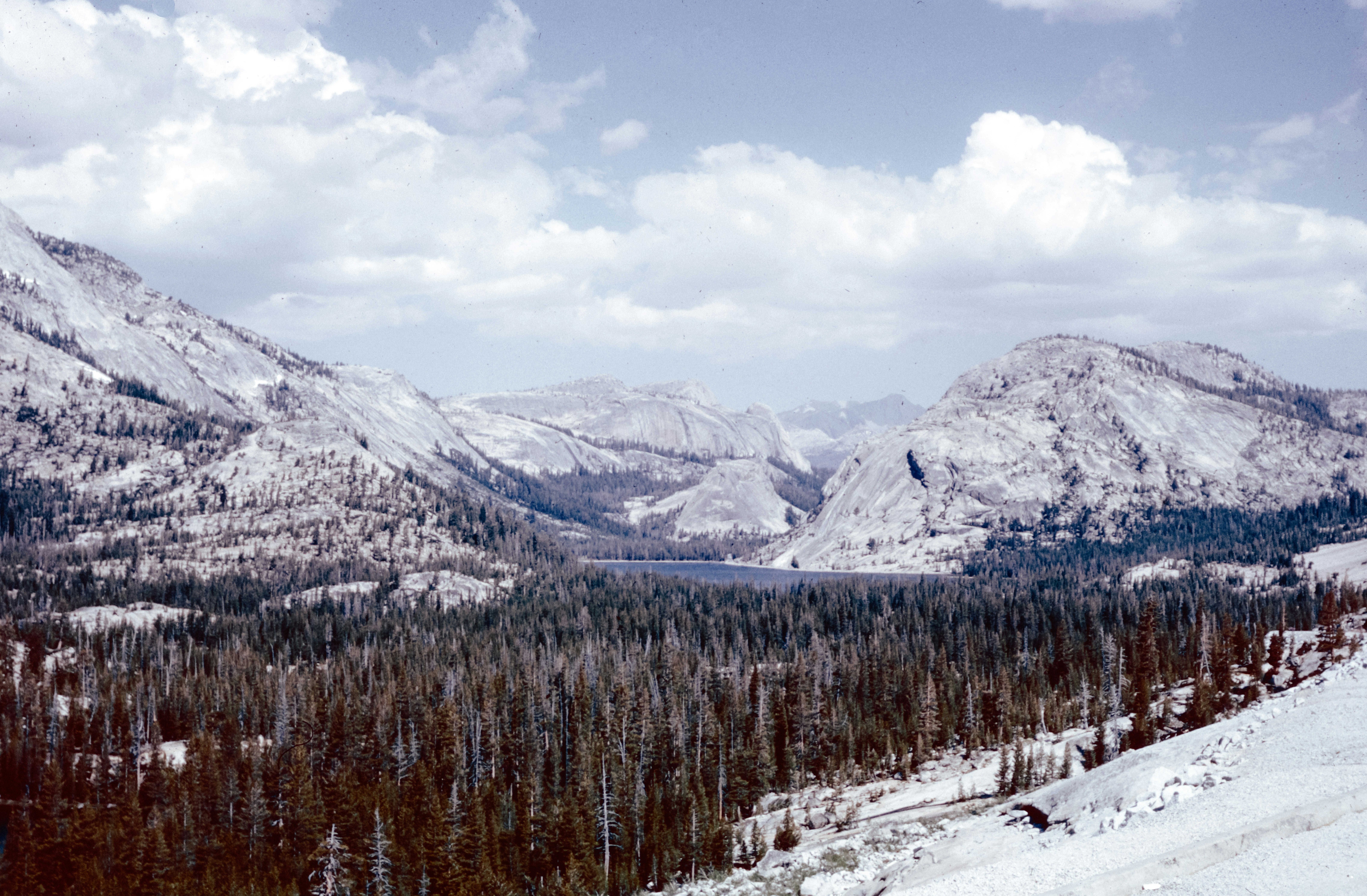 Photo by anniespratt