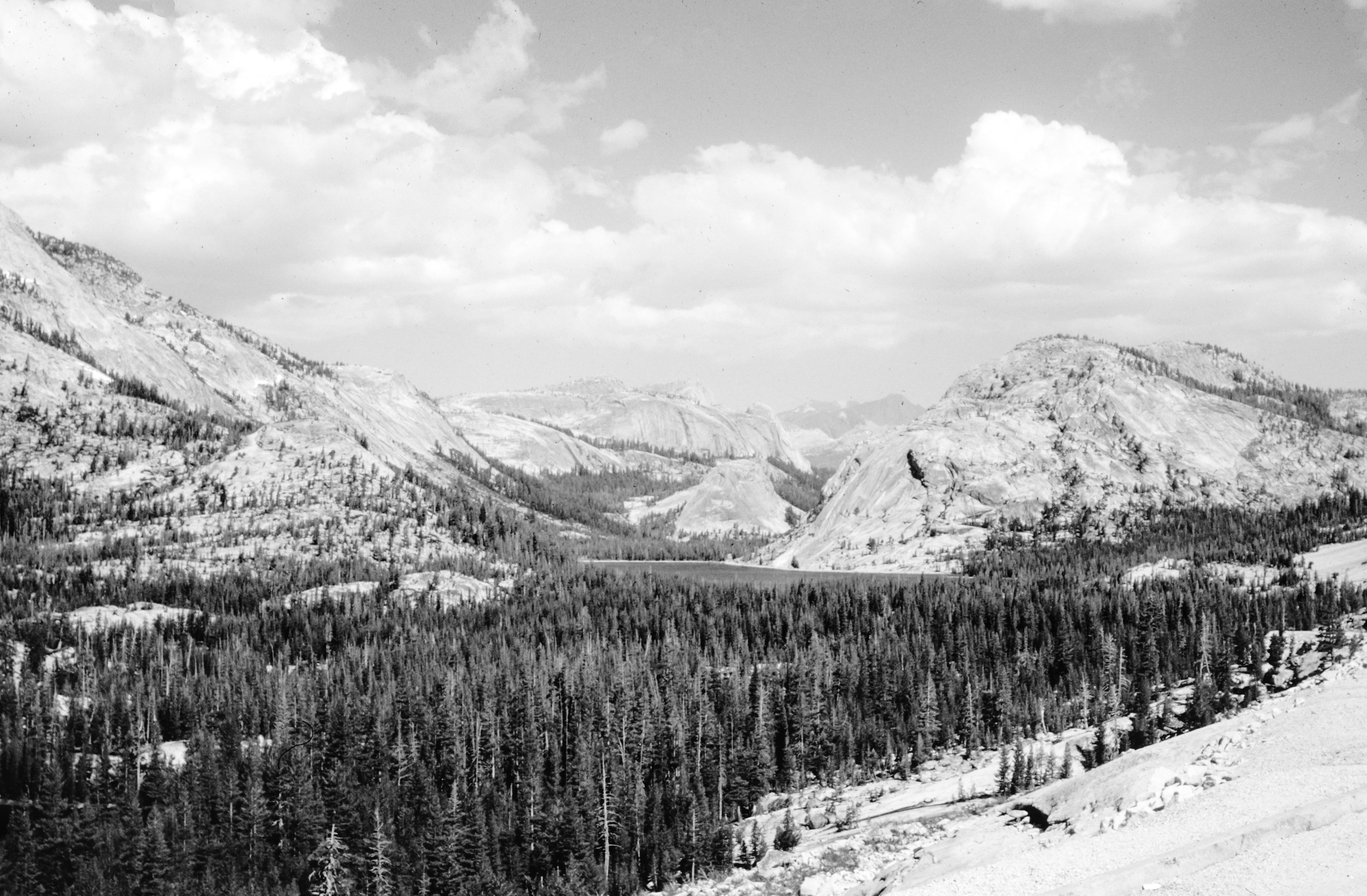 Photo by anniespratt