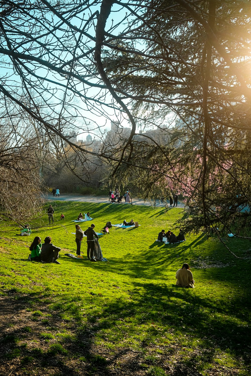 a group of people sitting on top of a lush green field