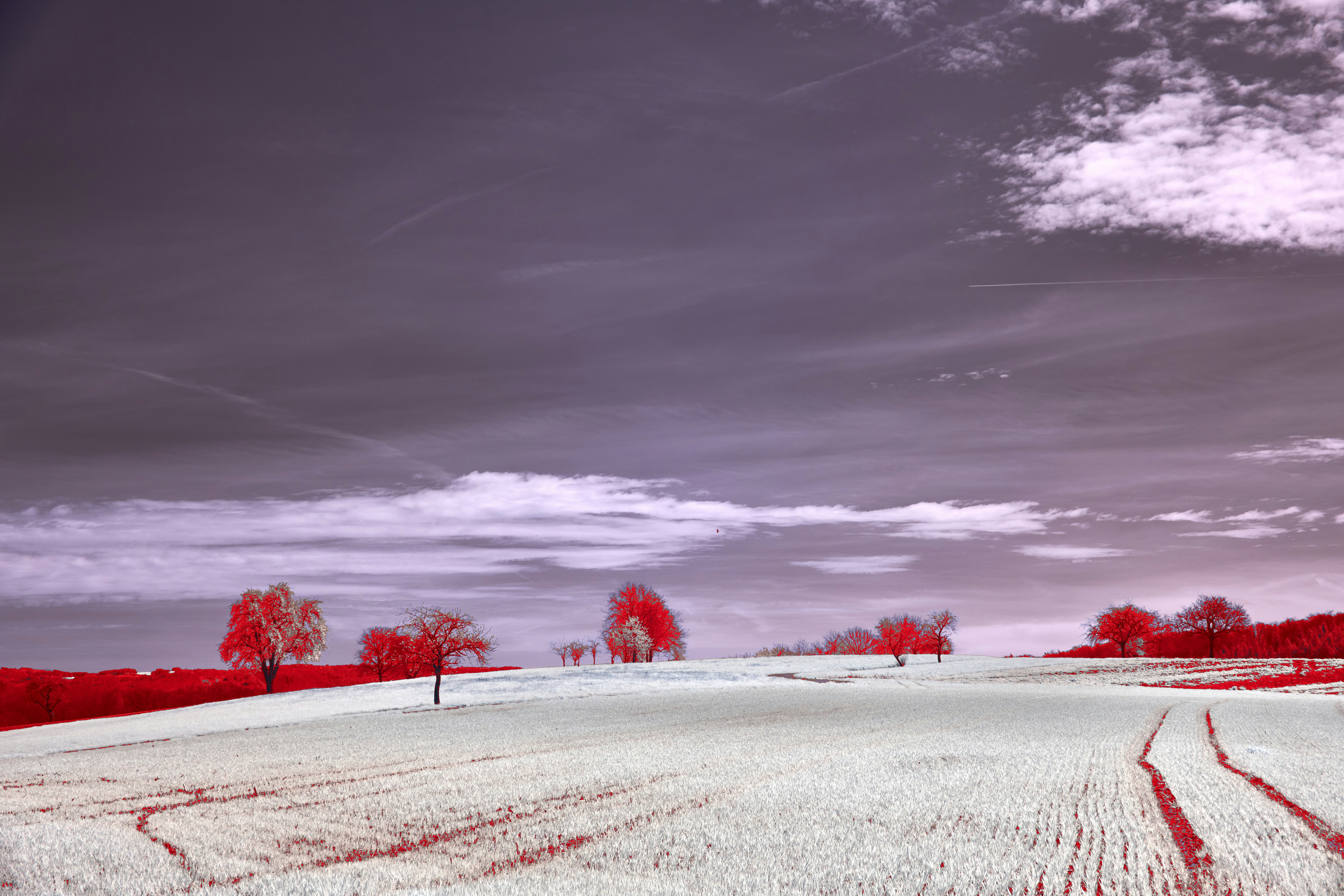 Photo by wolfgang_hasselmann