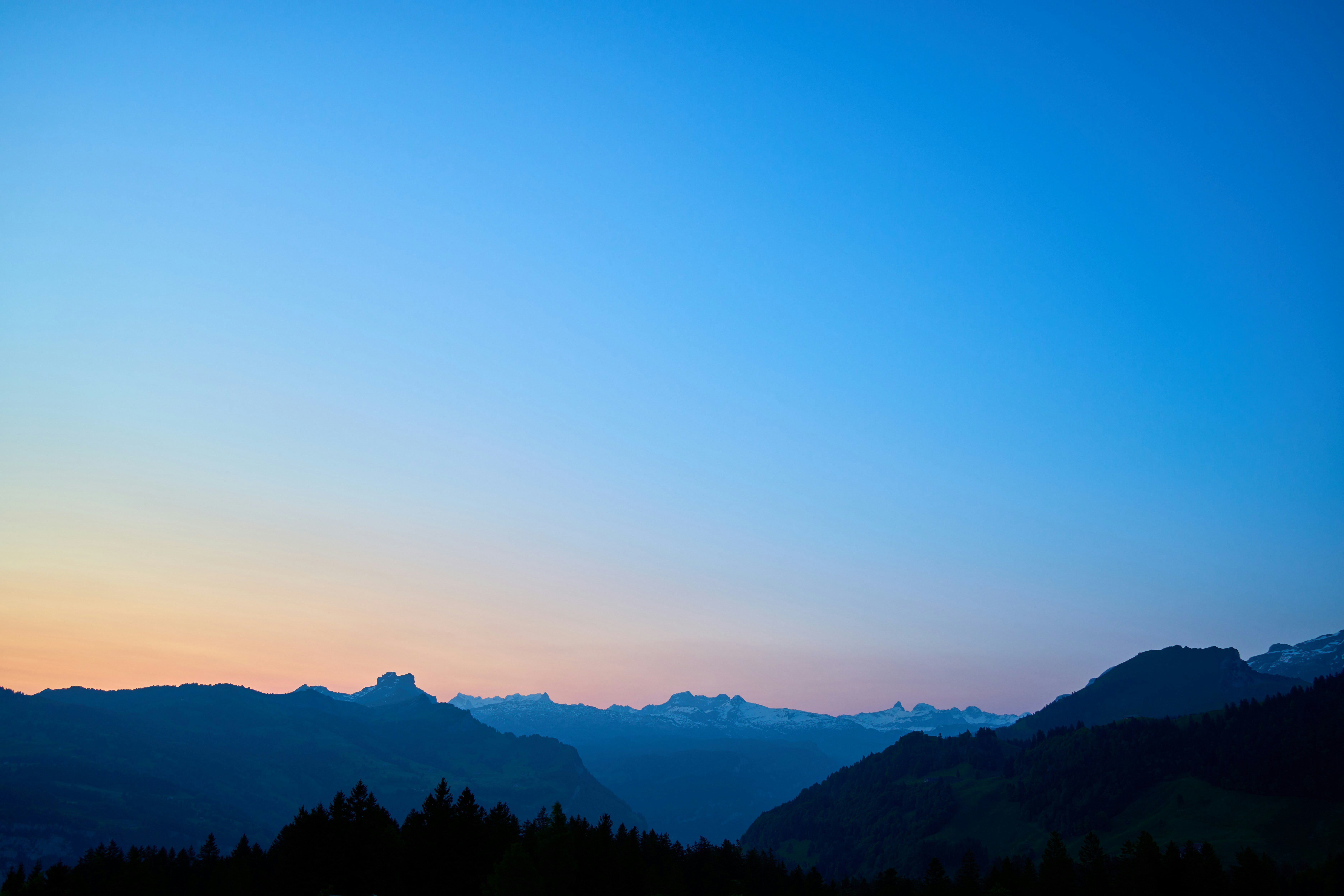 Photo by wolfgang_hasselmann