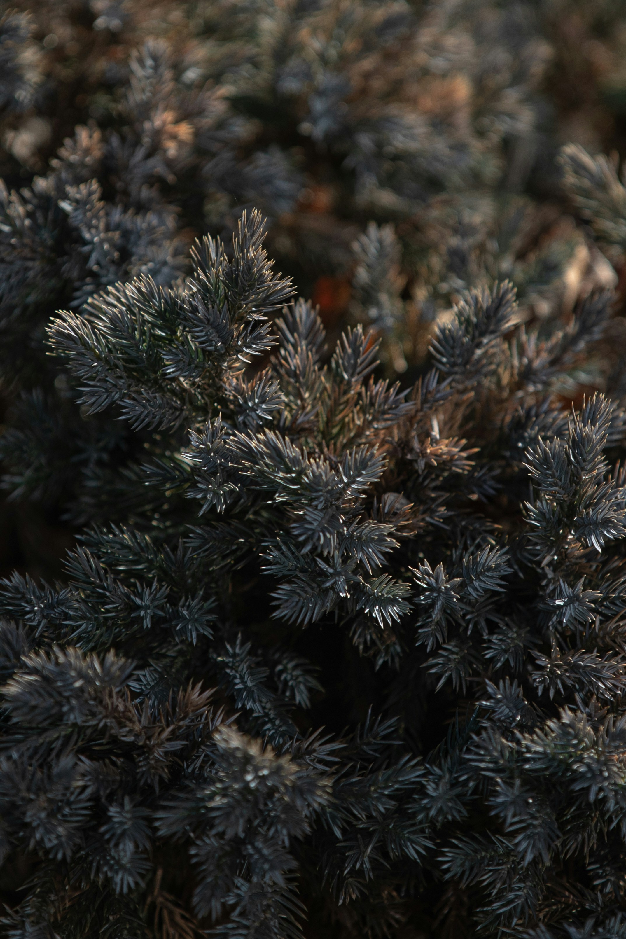 Photo by j_b_photography