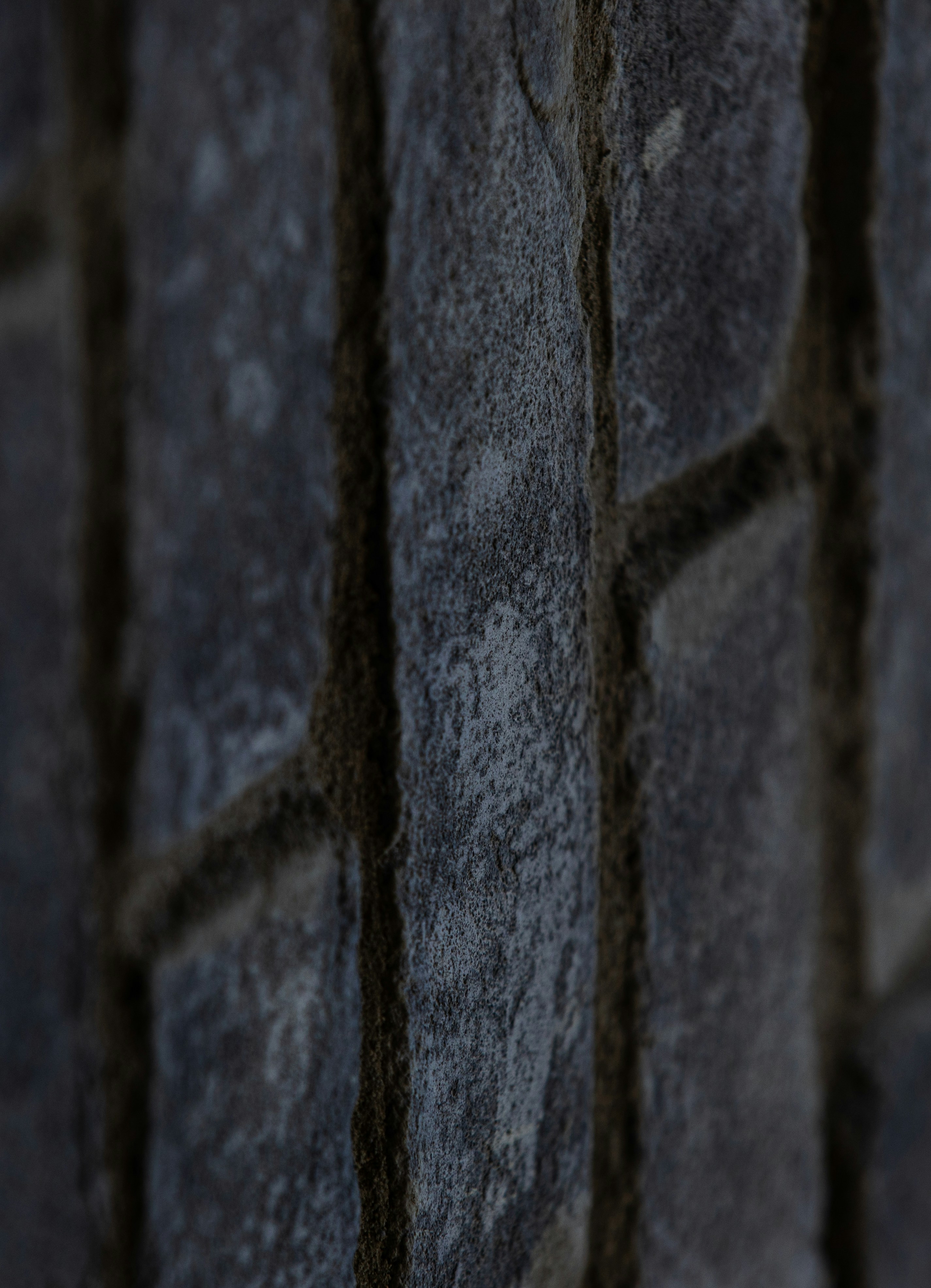 Photo by j_b_photography