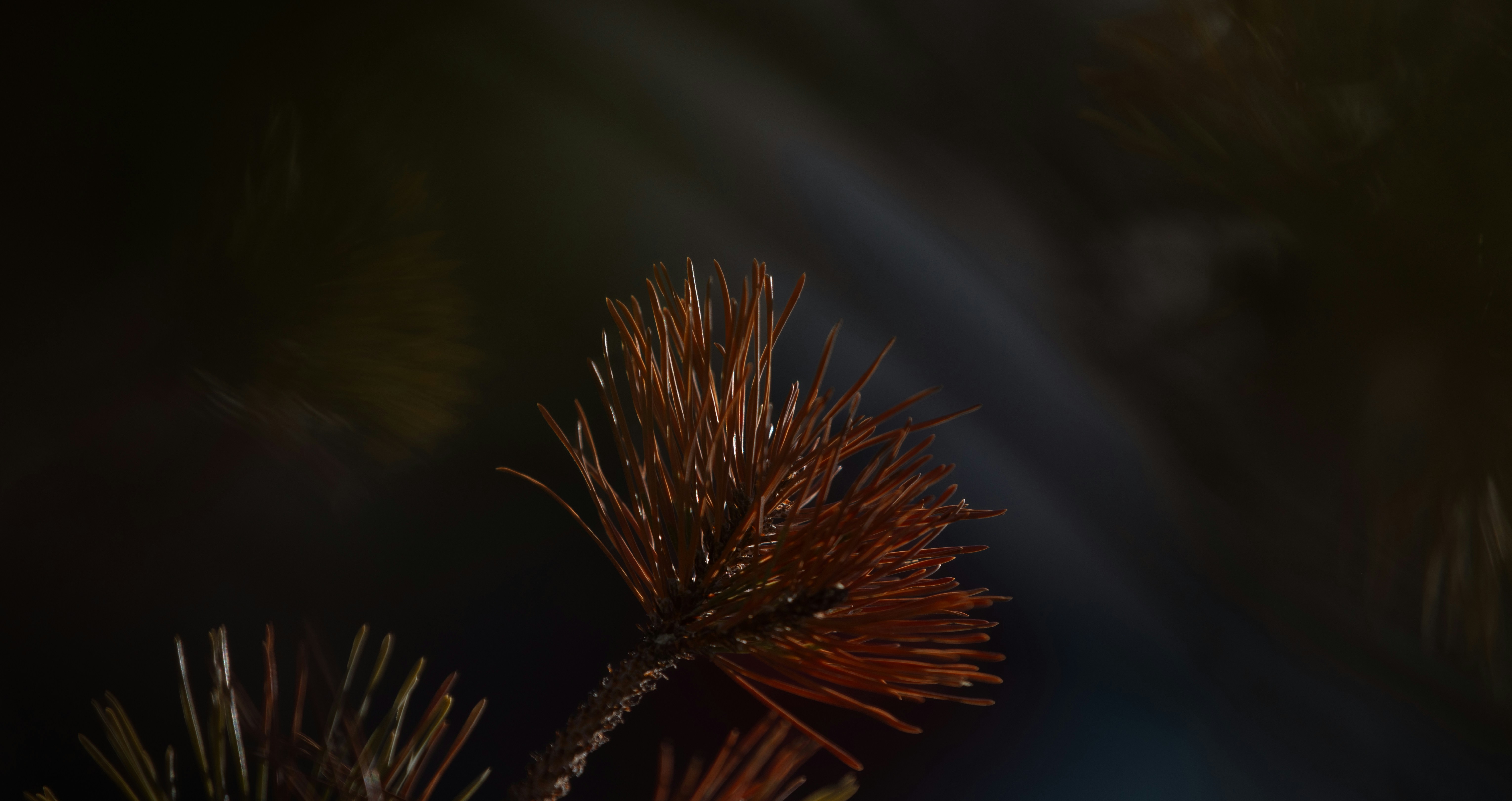 Photo by j_b_photography