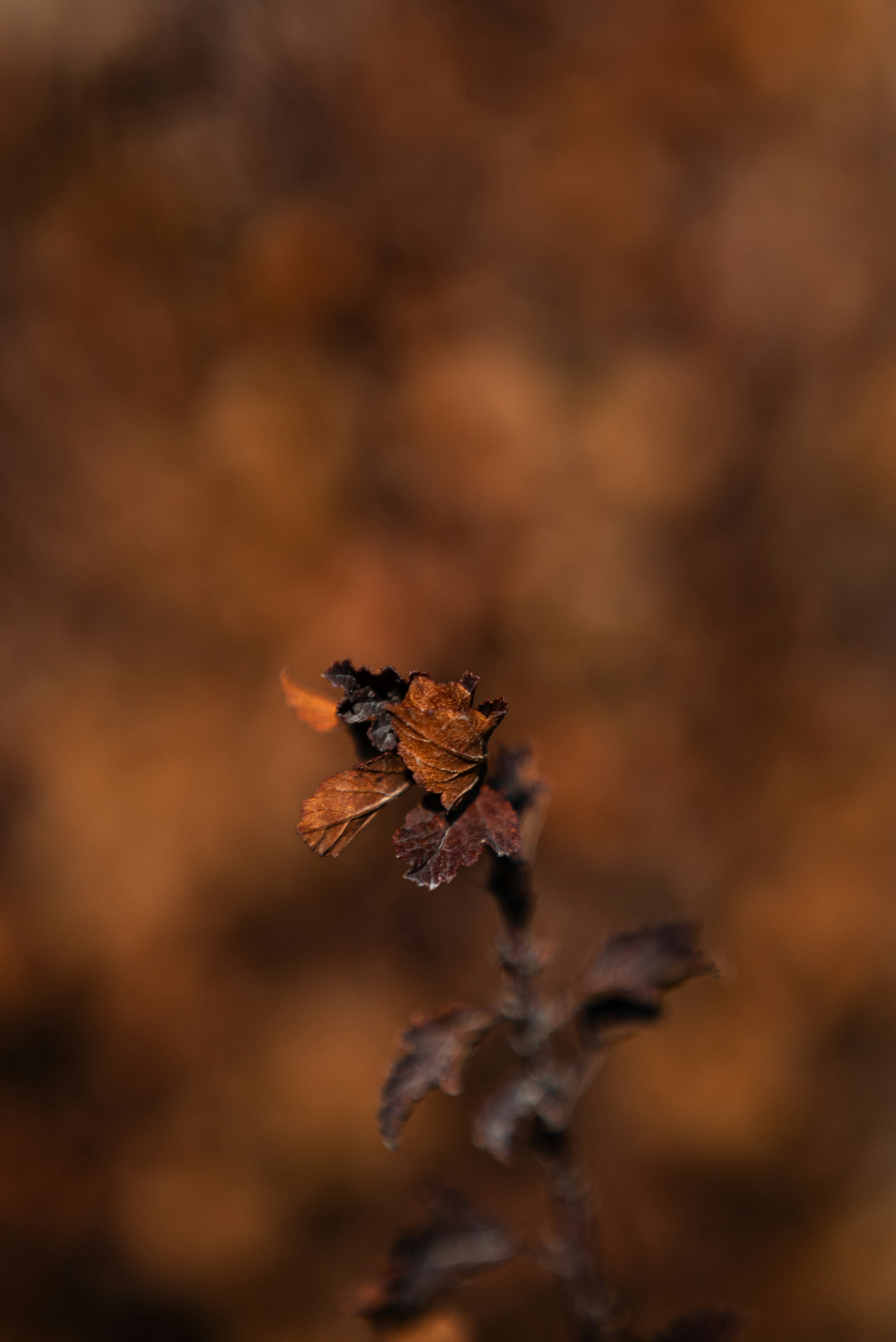 Photo by j_b_photography