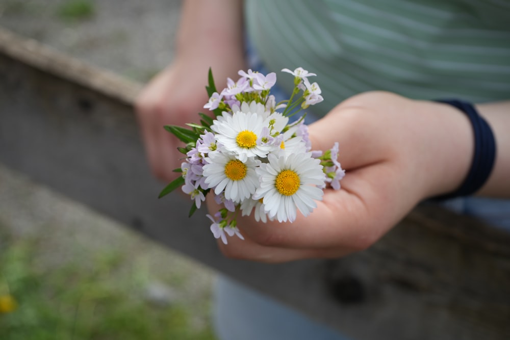 a person holding a bunch of daisies in their hands