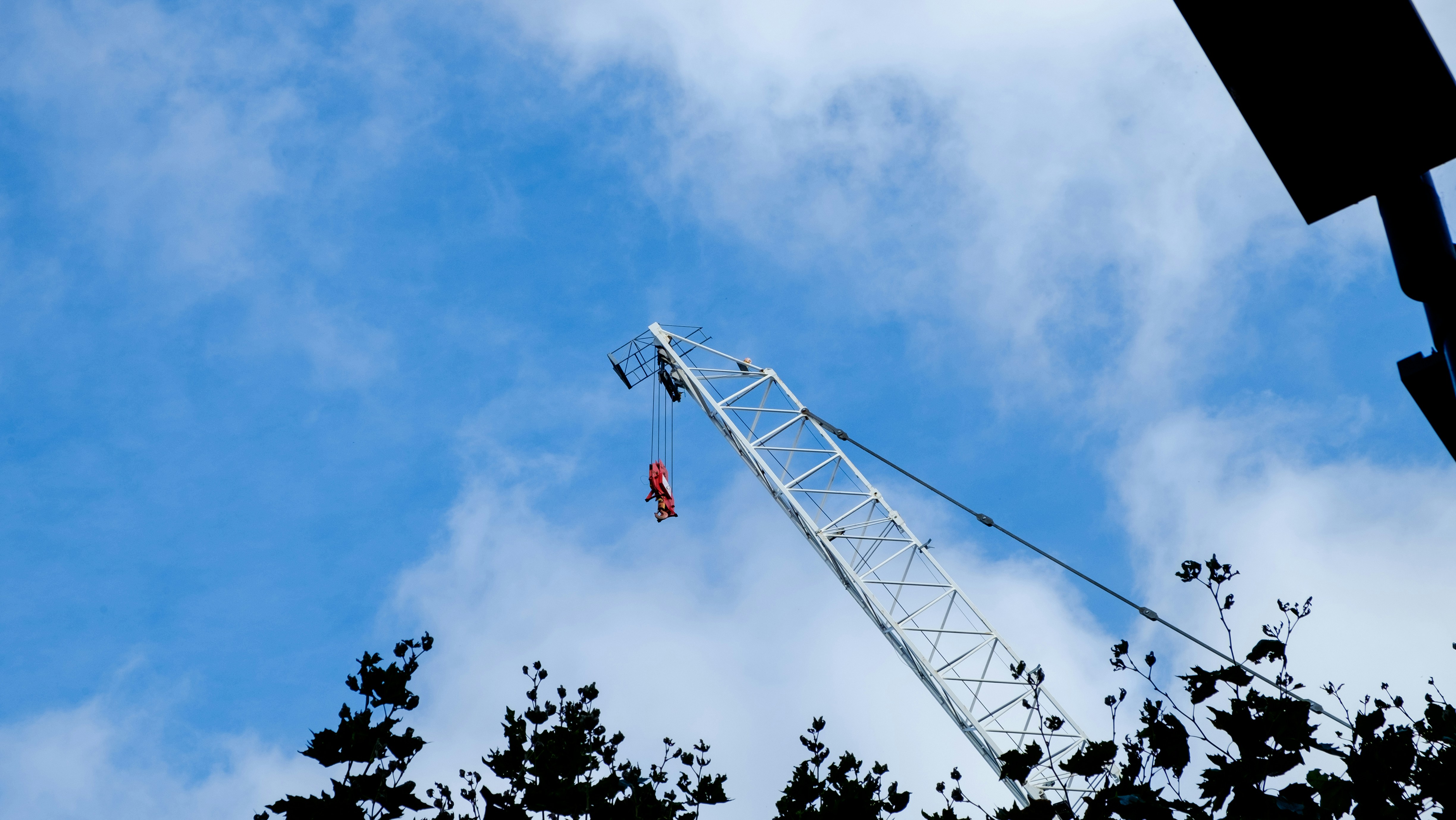 Photo by jacobpretorius