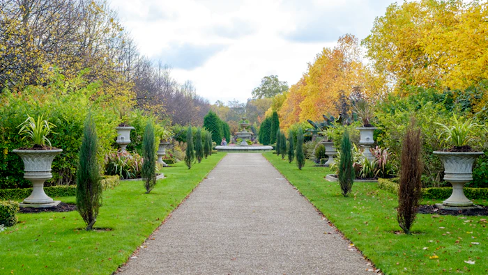 Allée bordée d'arbres et arbustes — travaux de plantation en cours