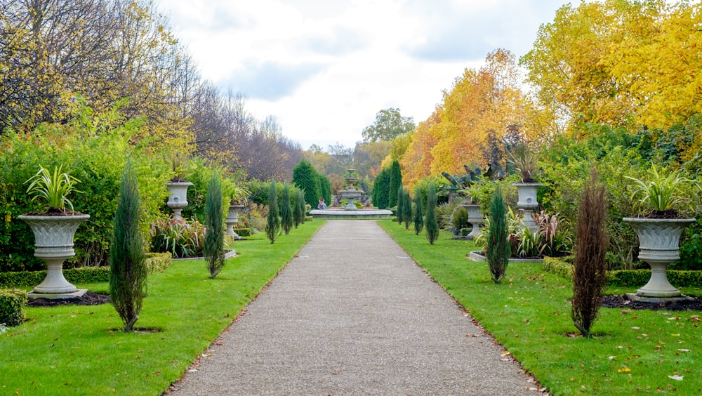 a walkway in a park lined with trees and bushes