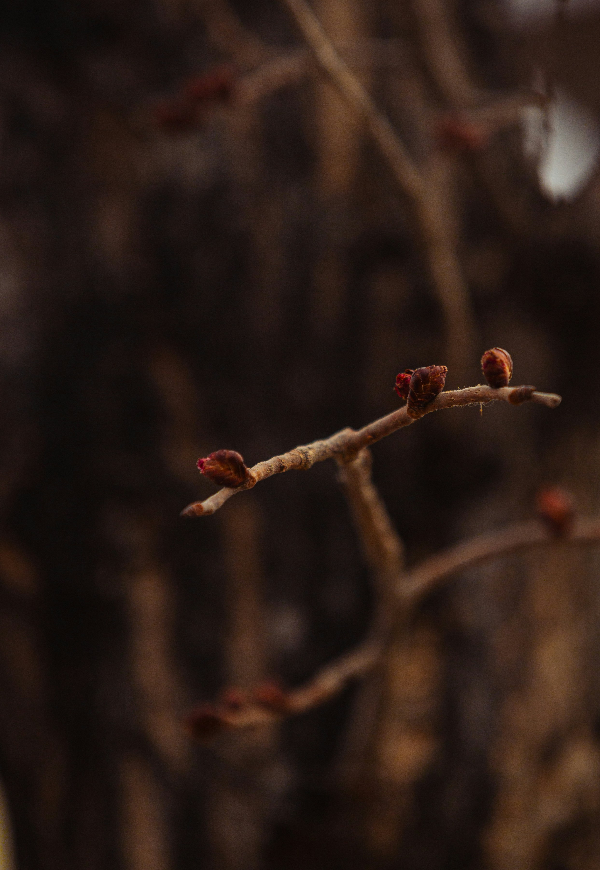 Photo by j_b_photography