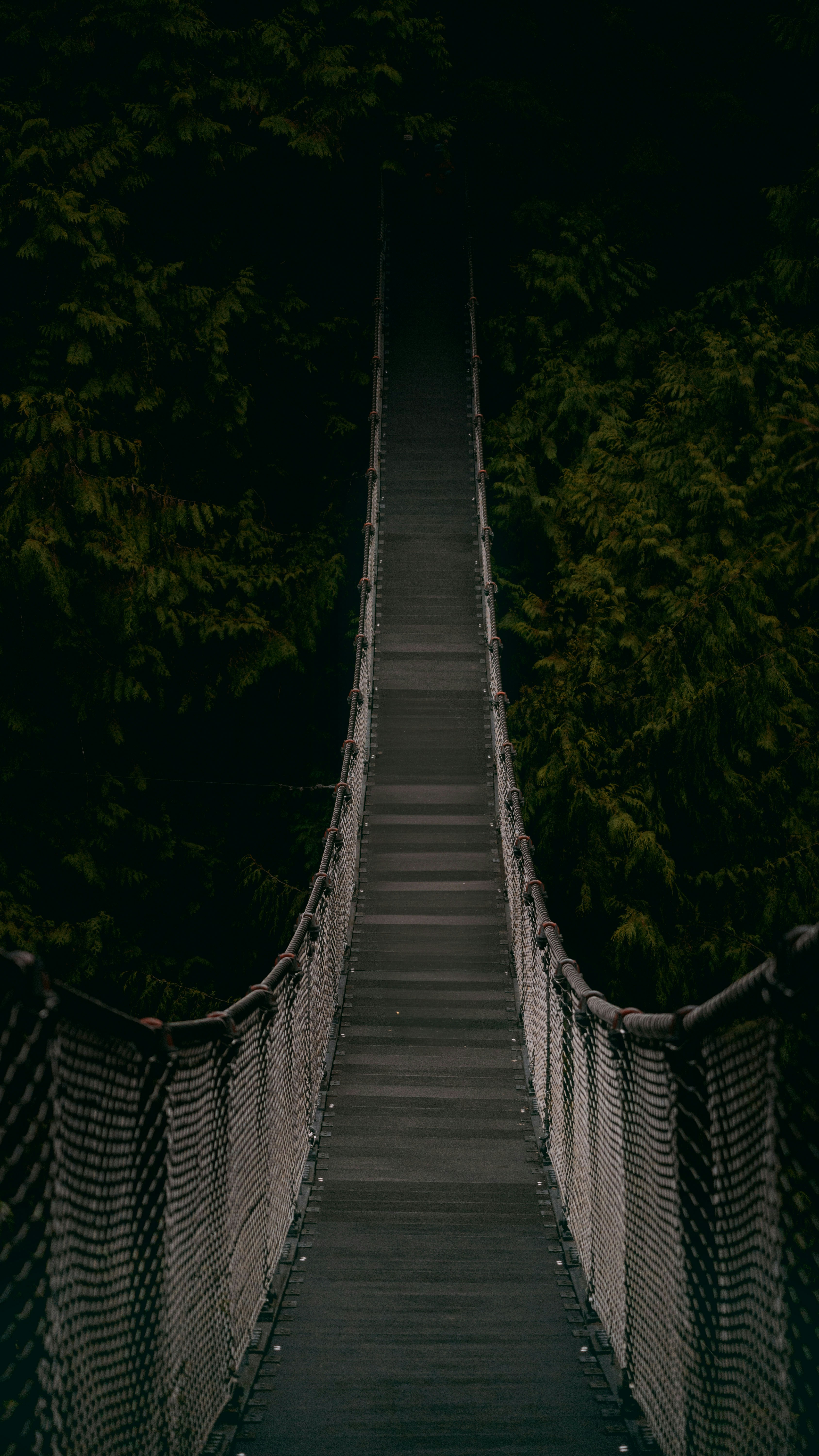 Photo by dougschneiders