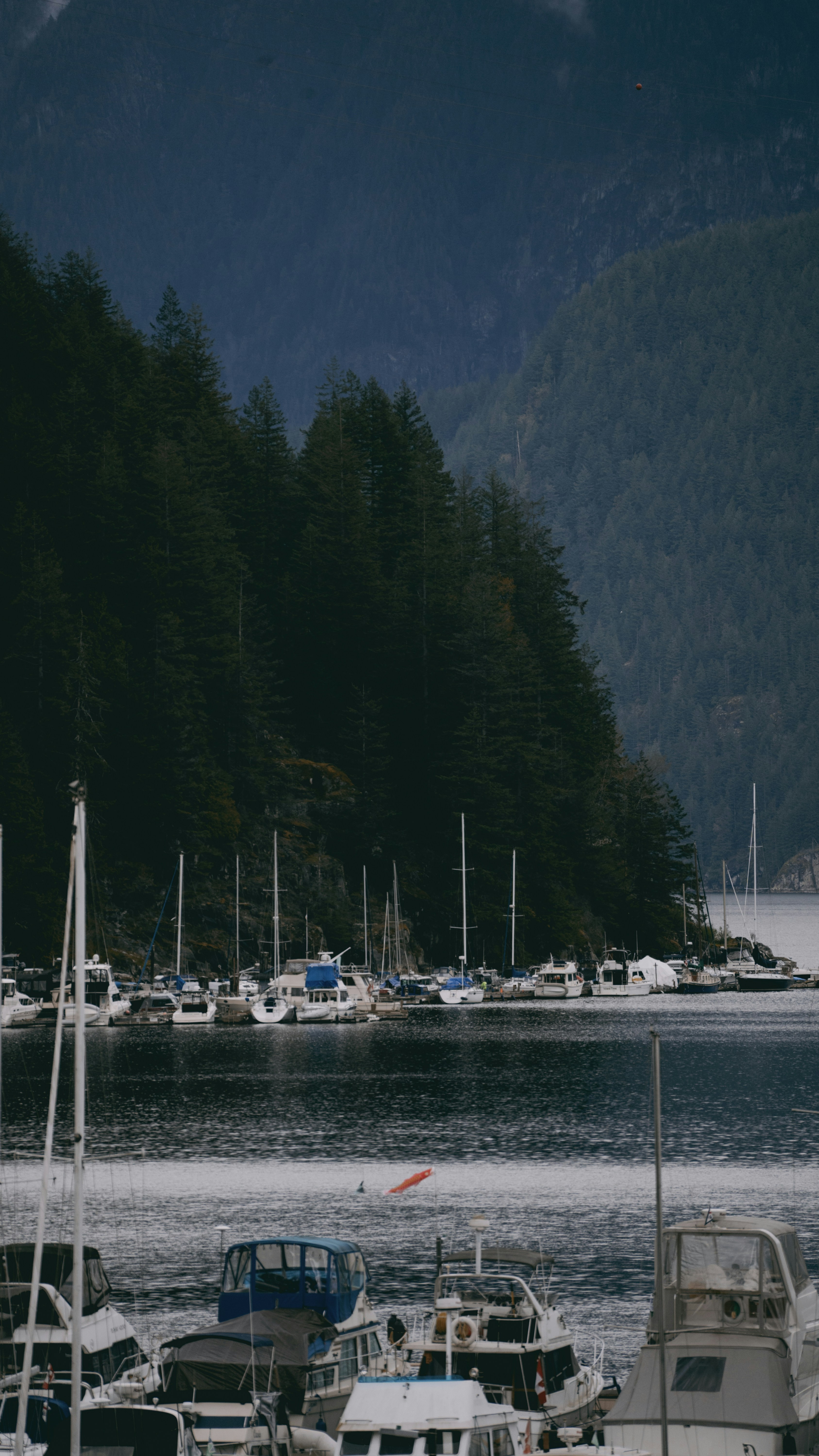 Photo by dougschneiders