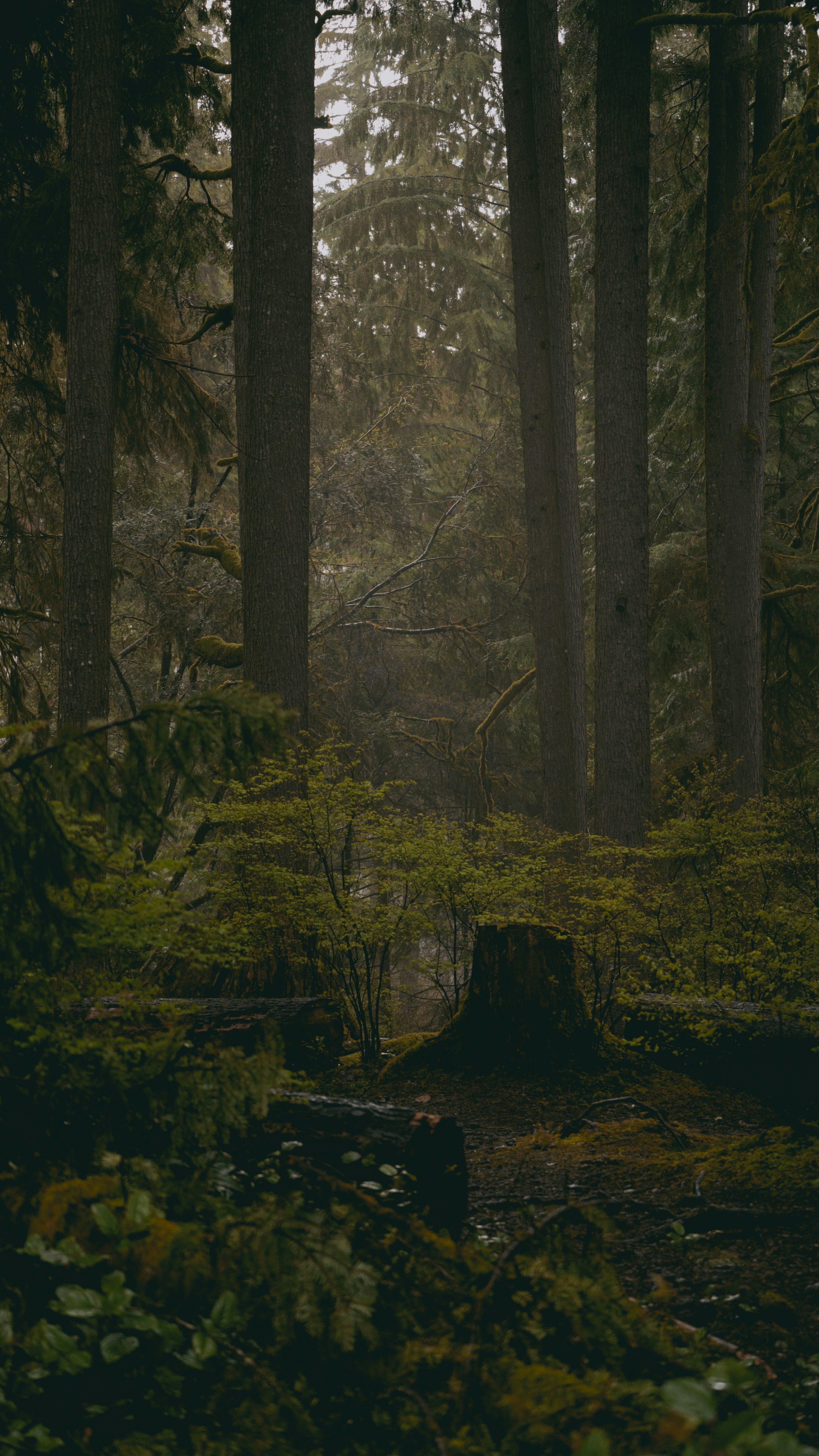 Photo by dougschneiders