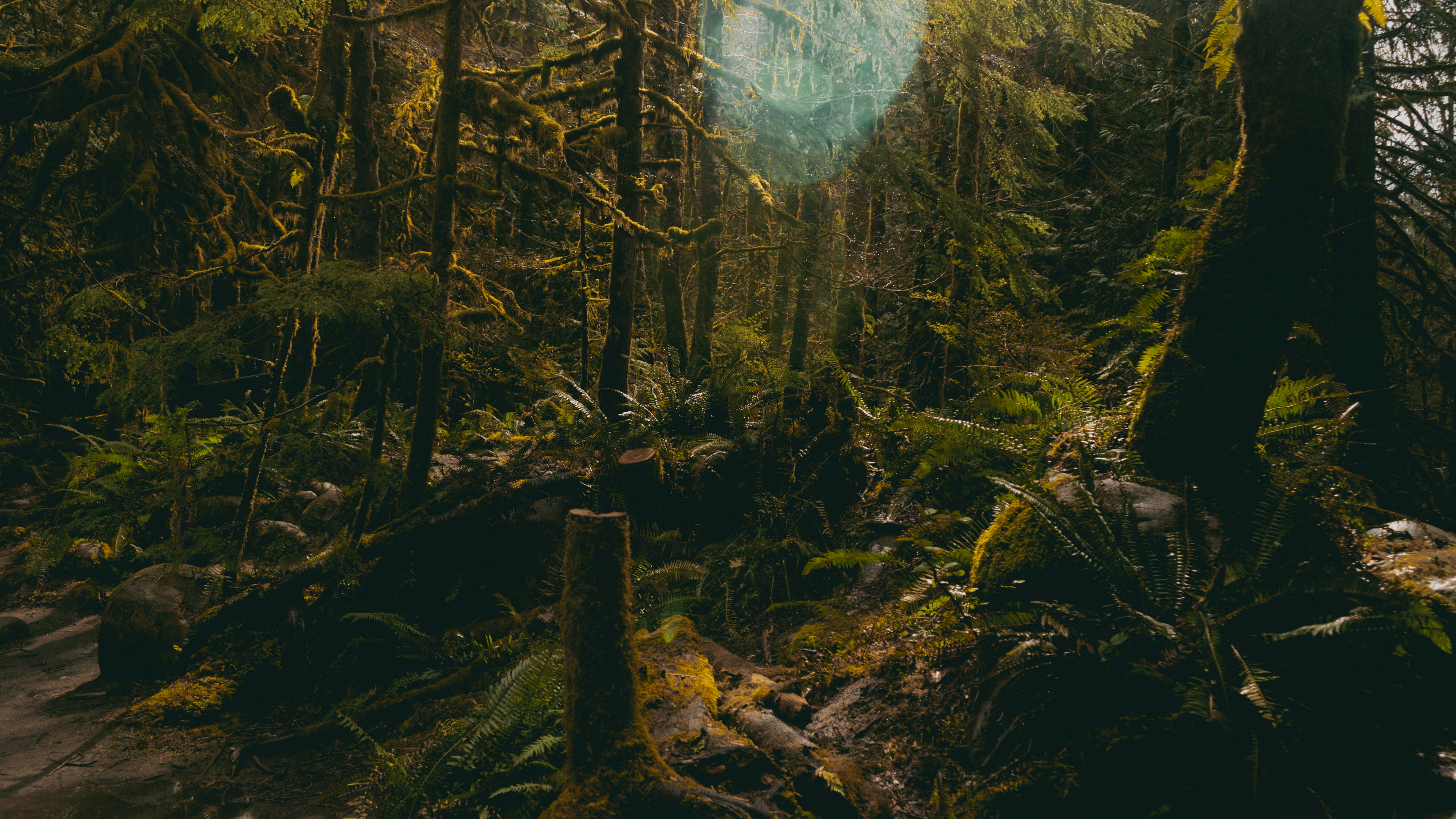 Photo by dougschneiders