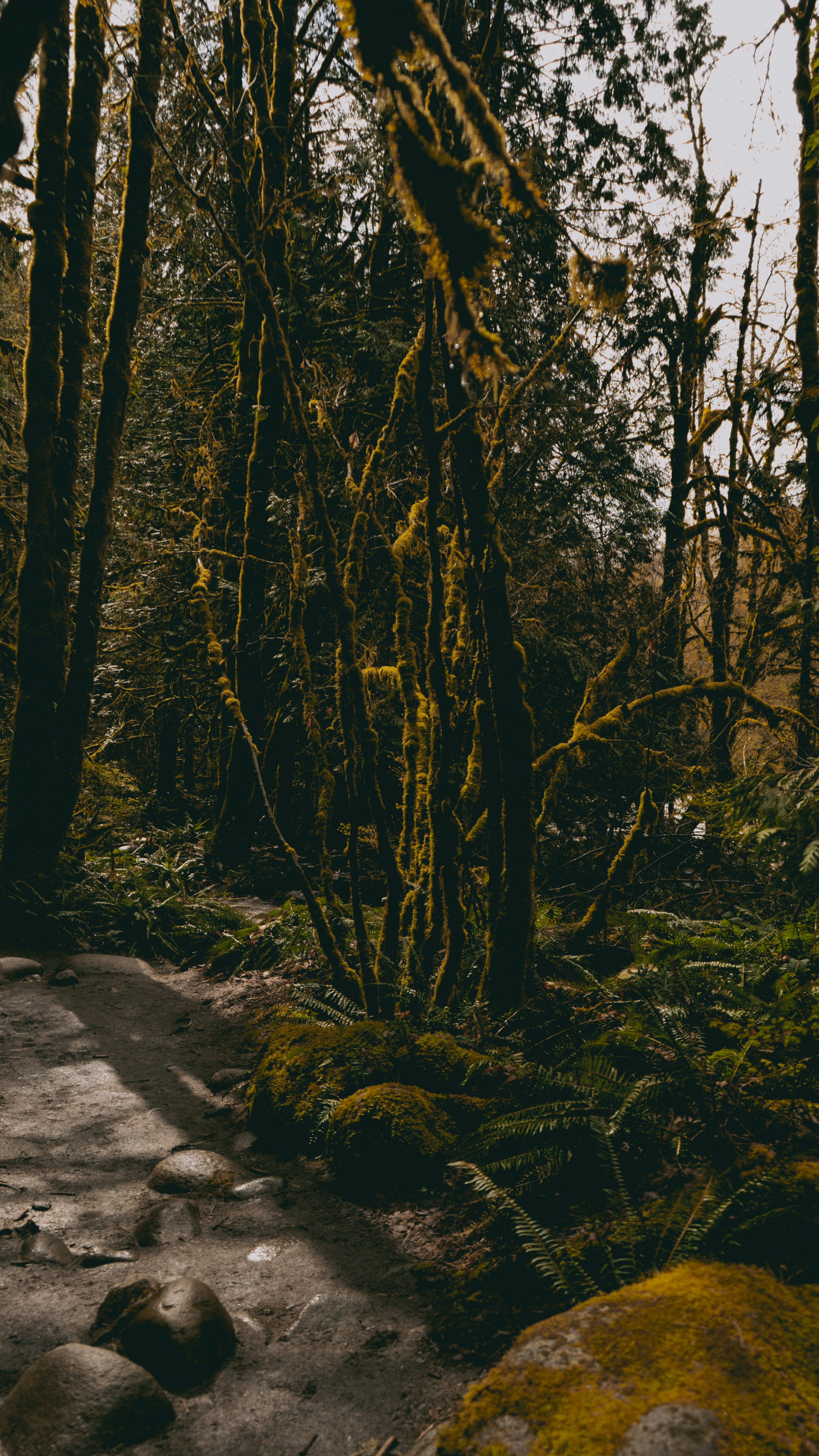 Photo by dougschneiders