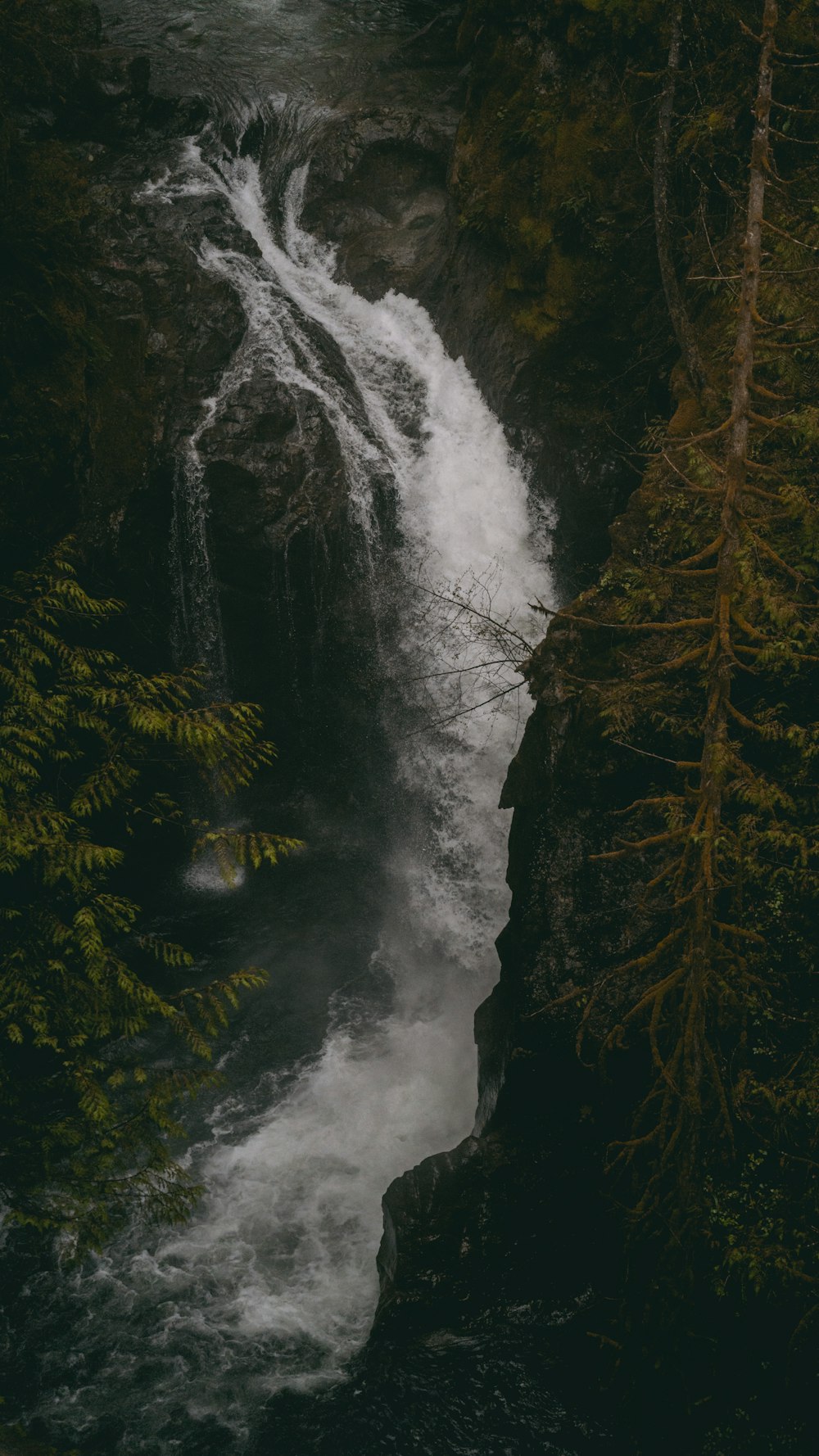 a waterfall in the middle of a forest