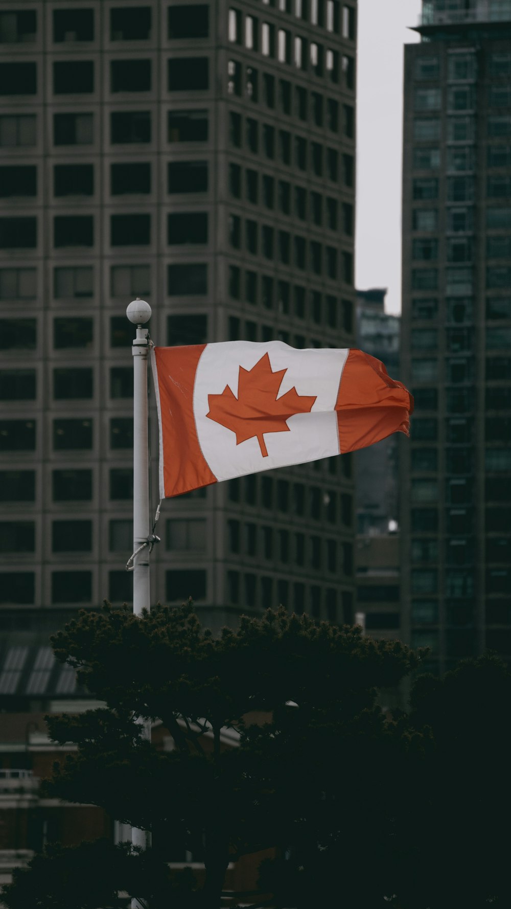 a canadian flag flying in the wind in a city