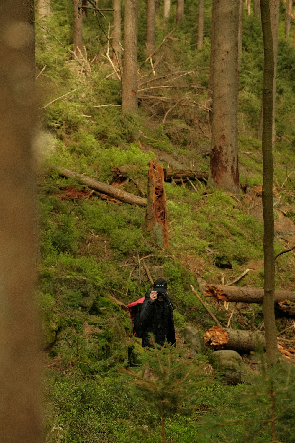 a person in a black jacket walking through a forest