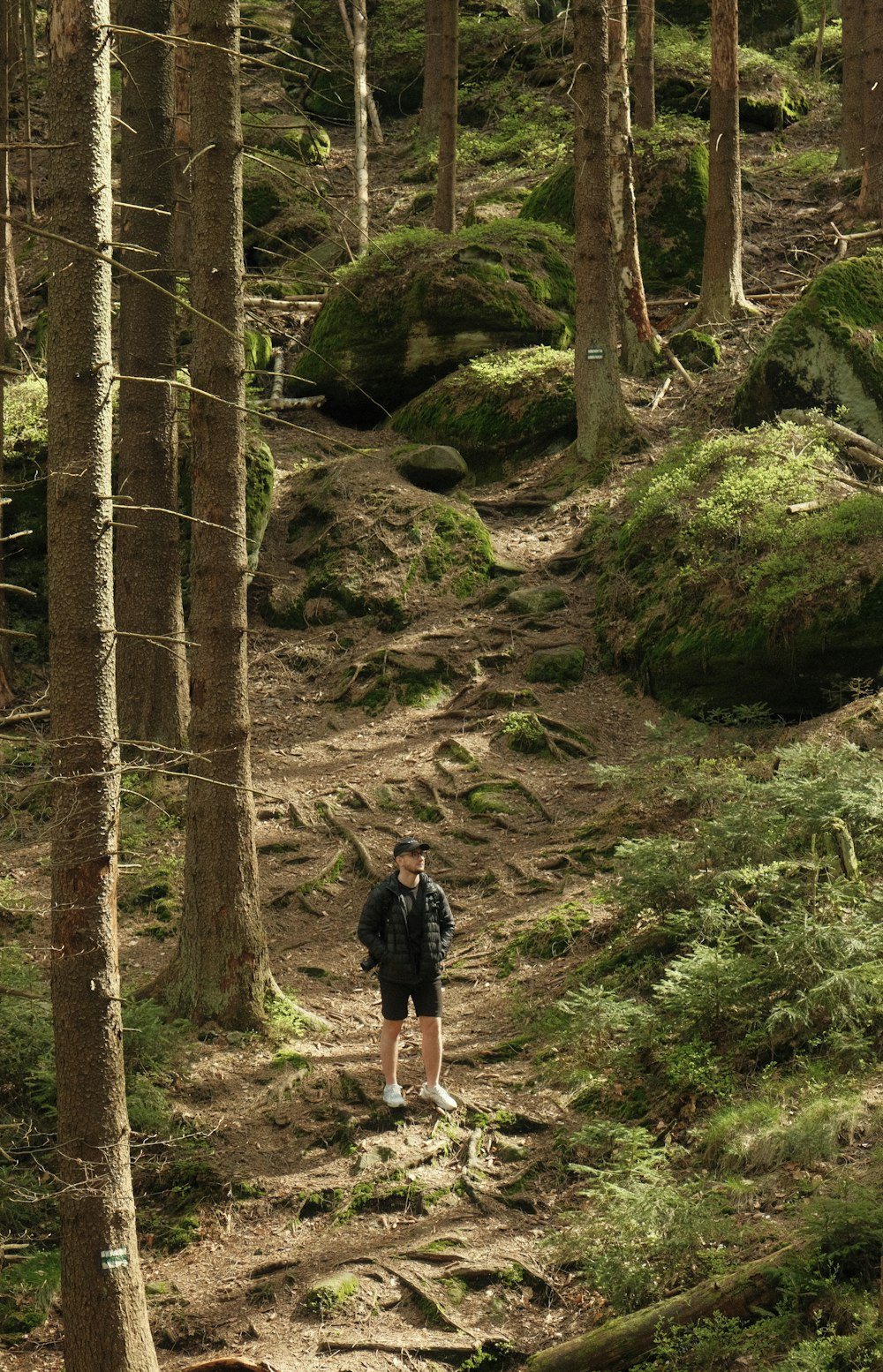 a man walking down a trail in the woods