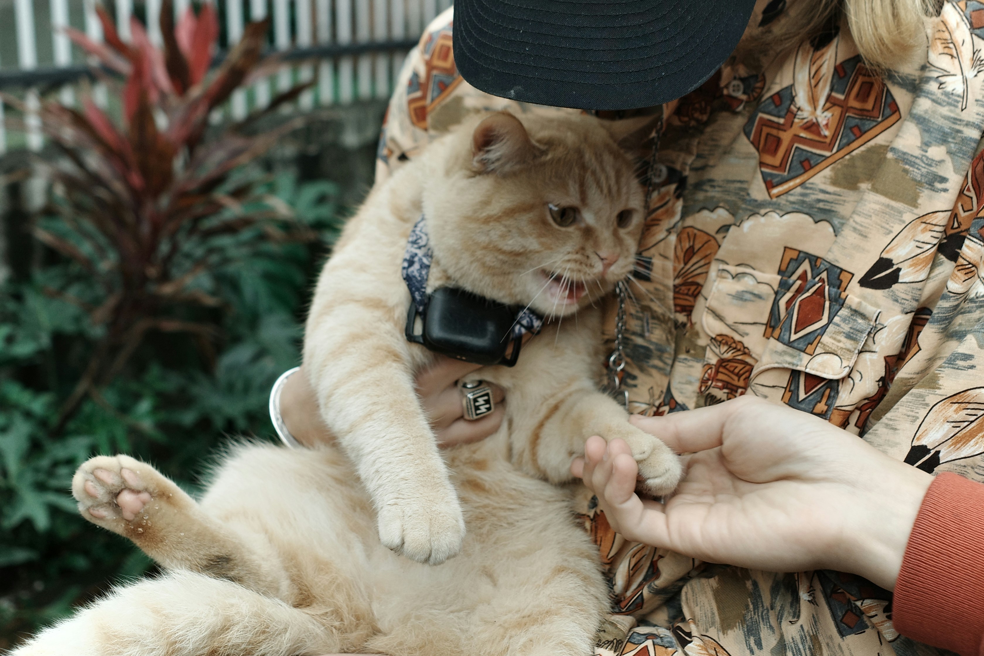 a woman holding a cat in her lap