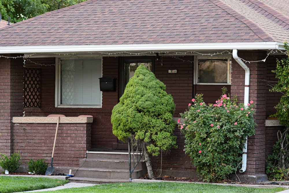 a house with a tree in front of it