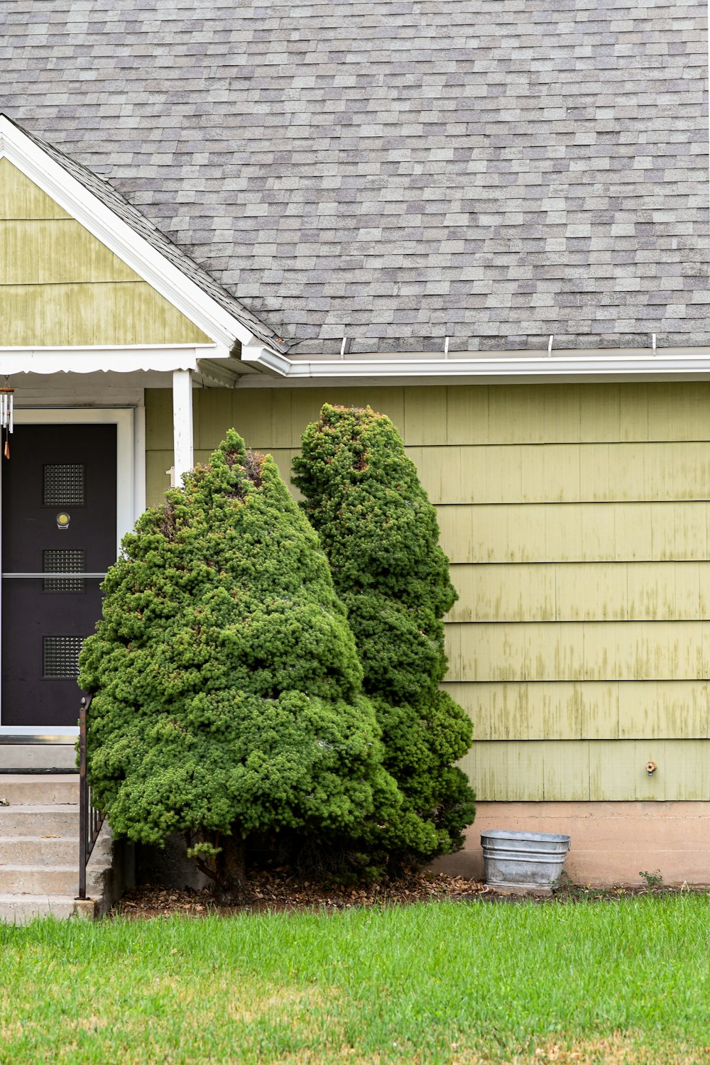 a house with two trees in front of it