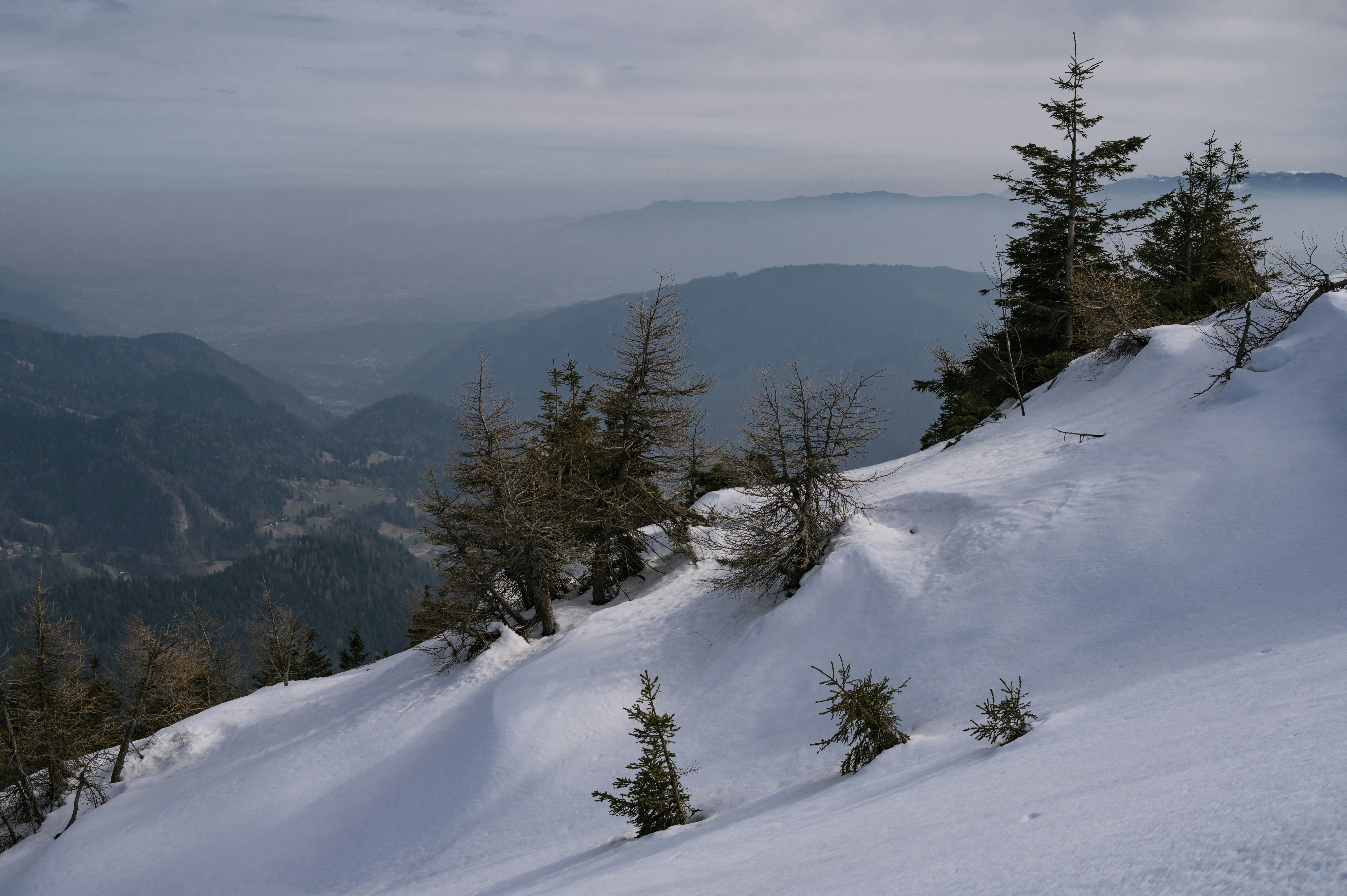 Image by Norbert Buduczki via Unsplash